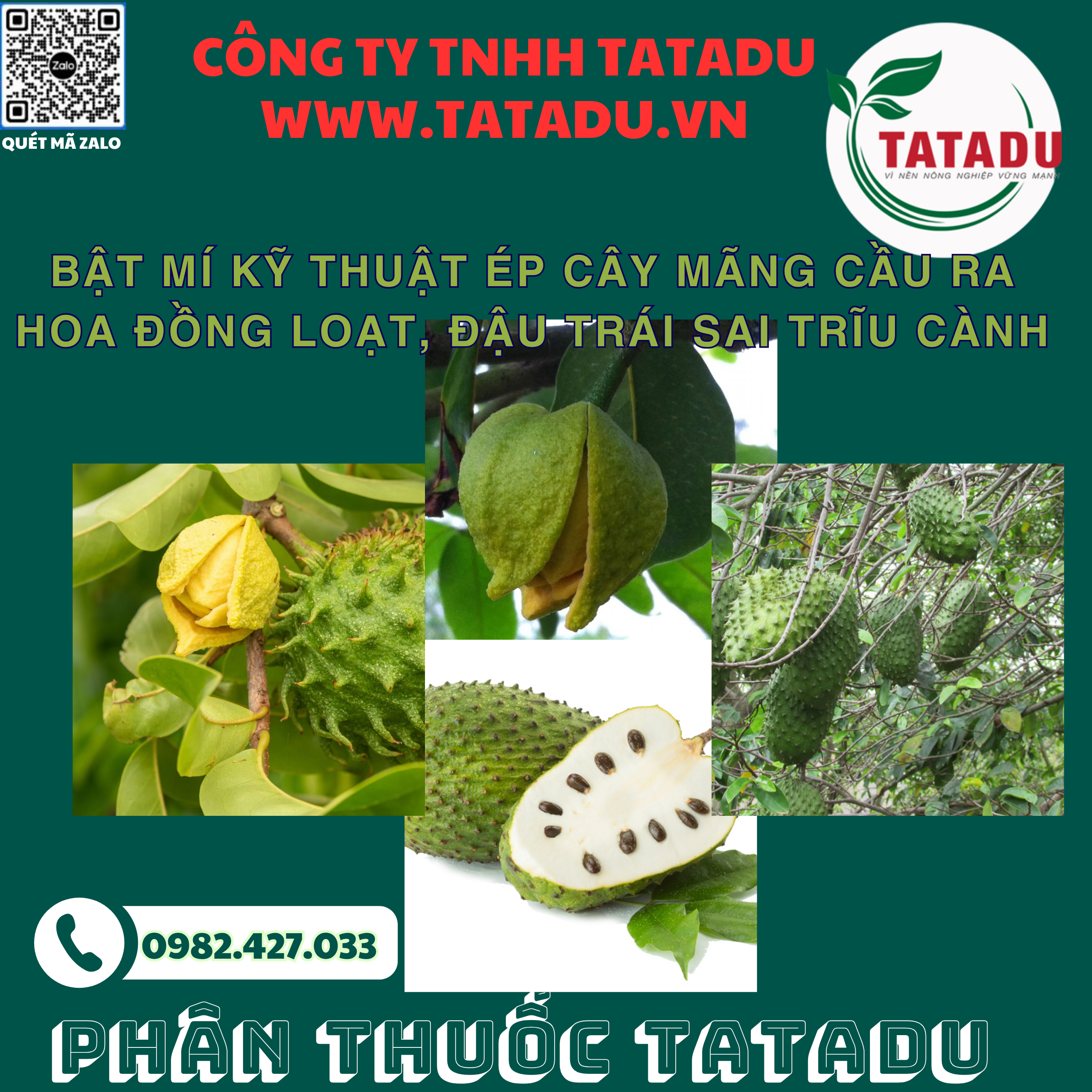 BAT MI KY THUAT EP CAY MANG CAU RA HOA DONG LOAT DAU TRAI SAI TRIU CANH