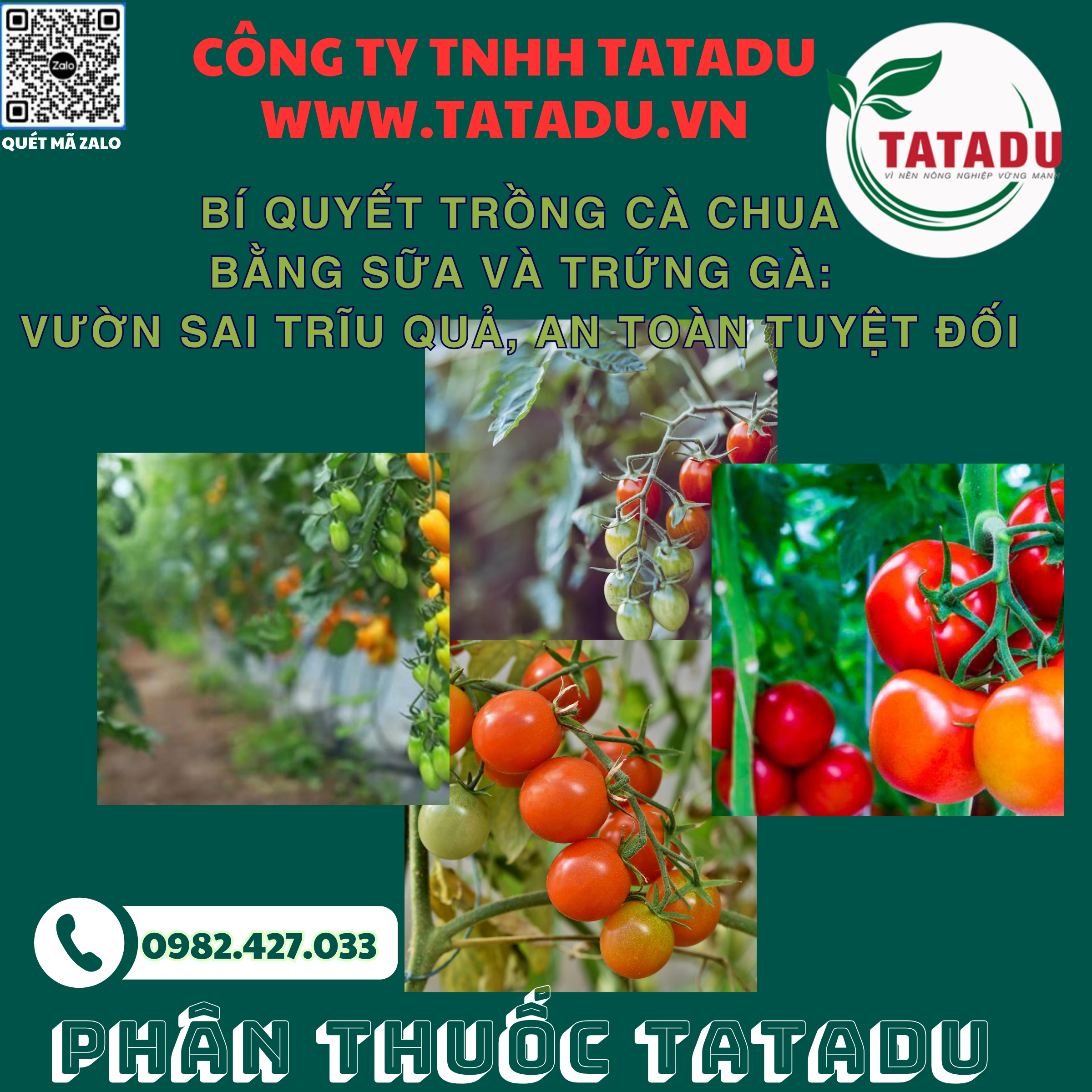 BI QUYET TRONG CA CHUA BANG SUA VA TRUNG GA VUON SAI TRIU QUA AN TOAN TUYET DOI