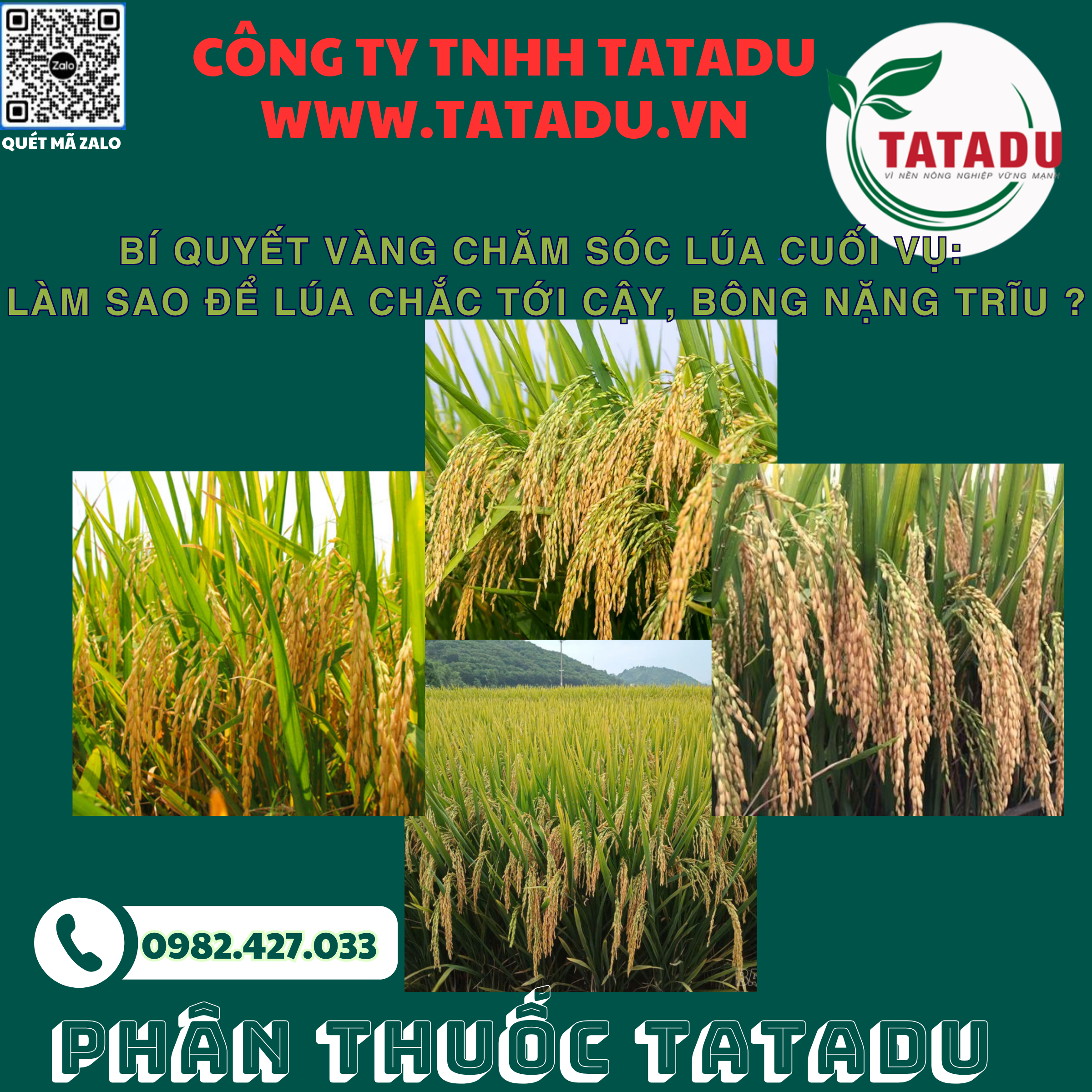 BI QUYET VANG CHAM SOC LUA CUOI VU LAM SAO DE LUA CHAC TOI CAY BONG NANG TRIU