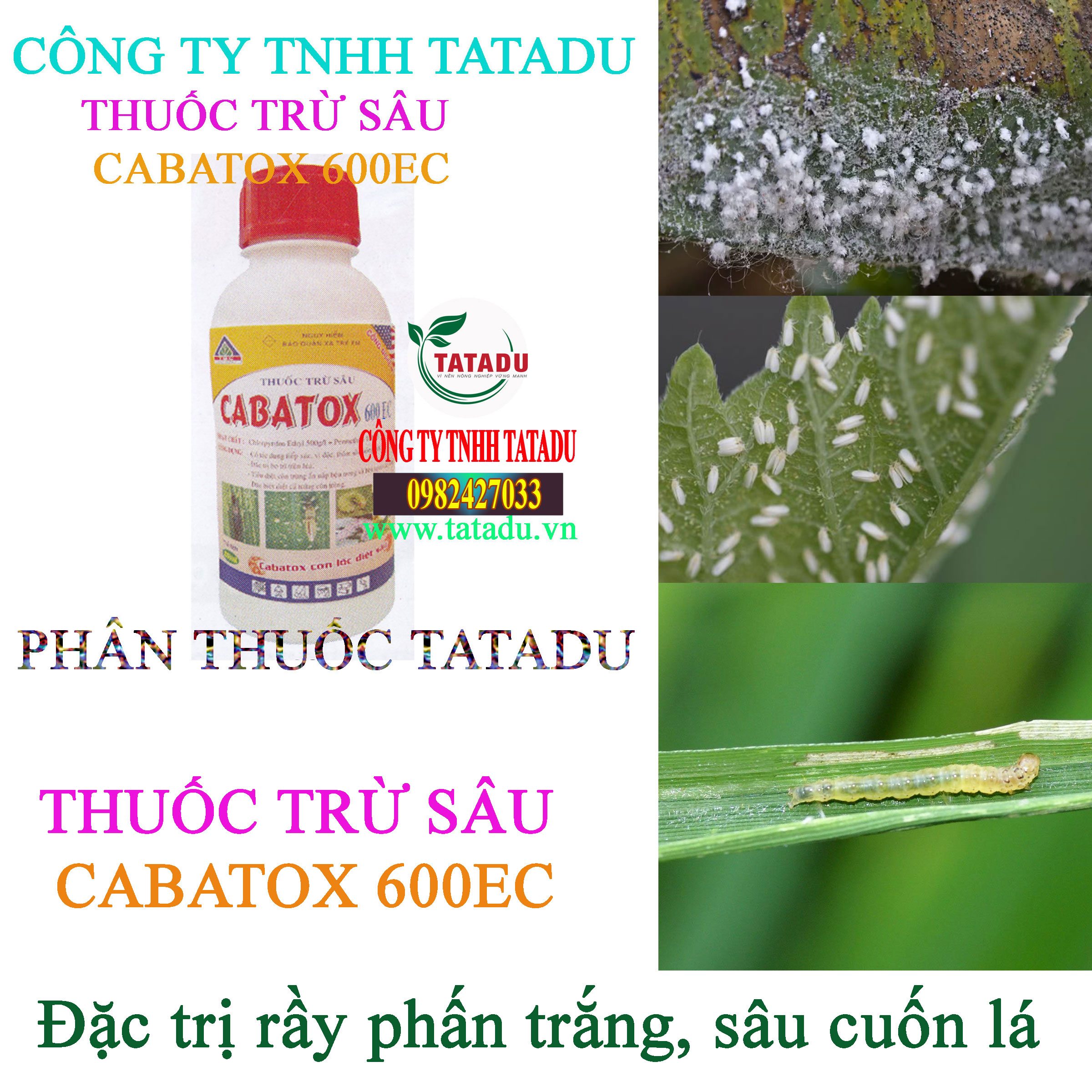 CABATOX 600EC ray phan trang CABATOX 600EC ray phan trang