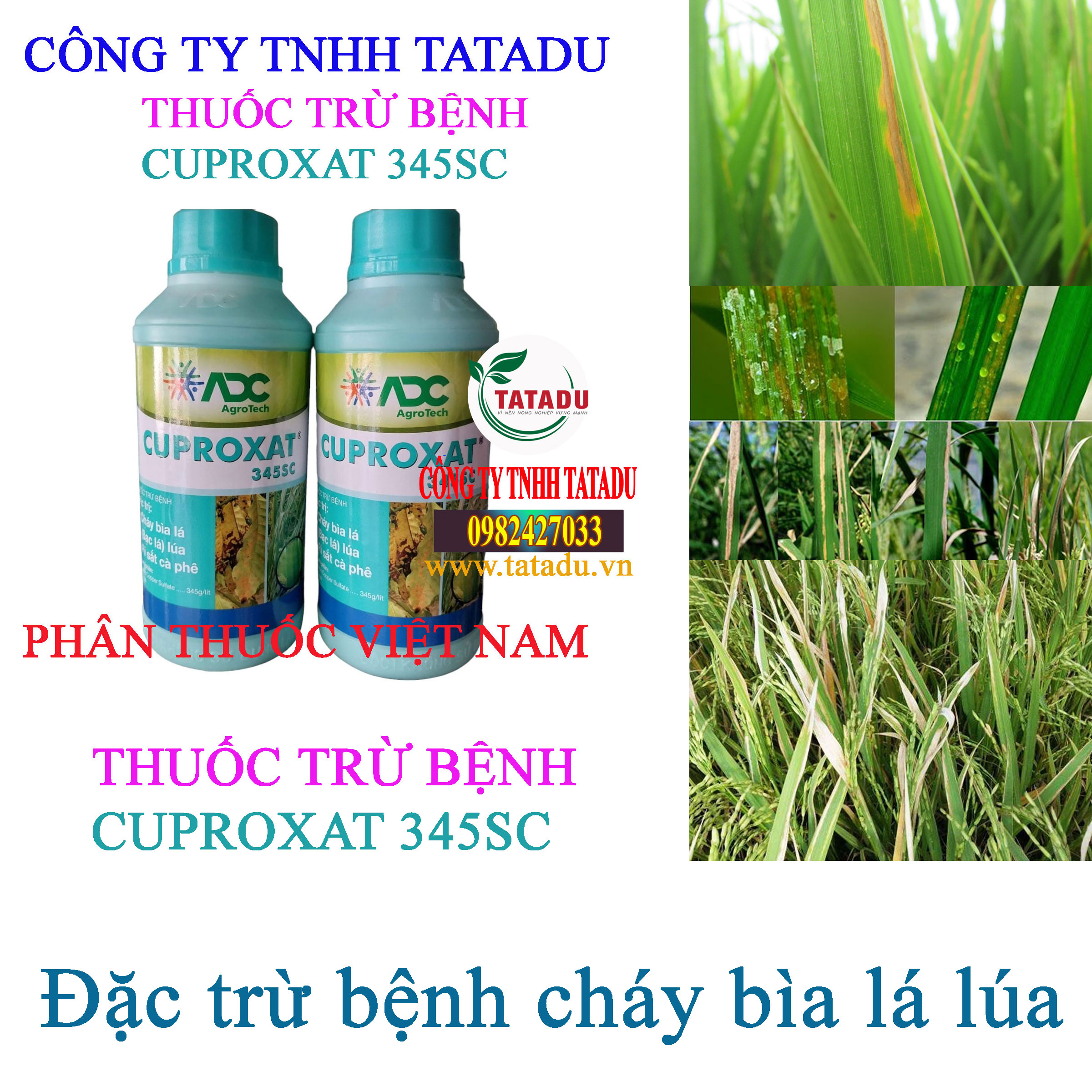 CUPROXAT 345SC chay bia la CUPROXAT 345SC chay bia la