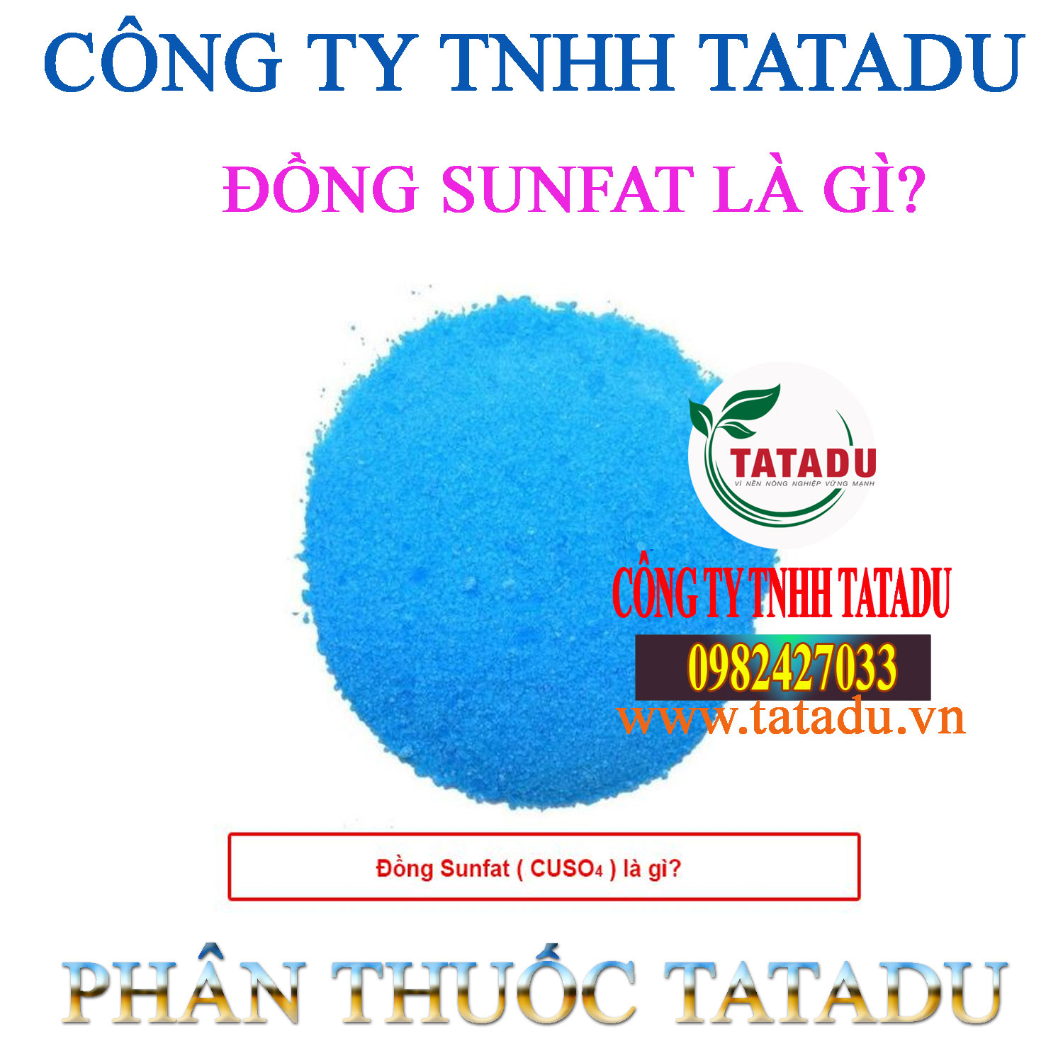 DONG SUNFAT LA GI