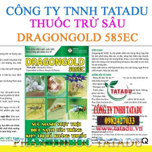 DRAGONGOLD 585EC