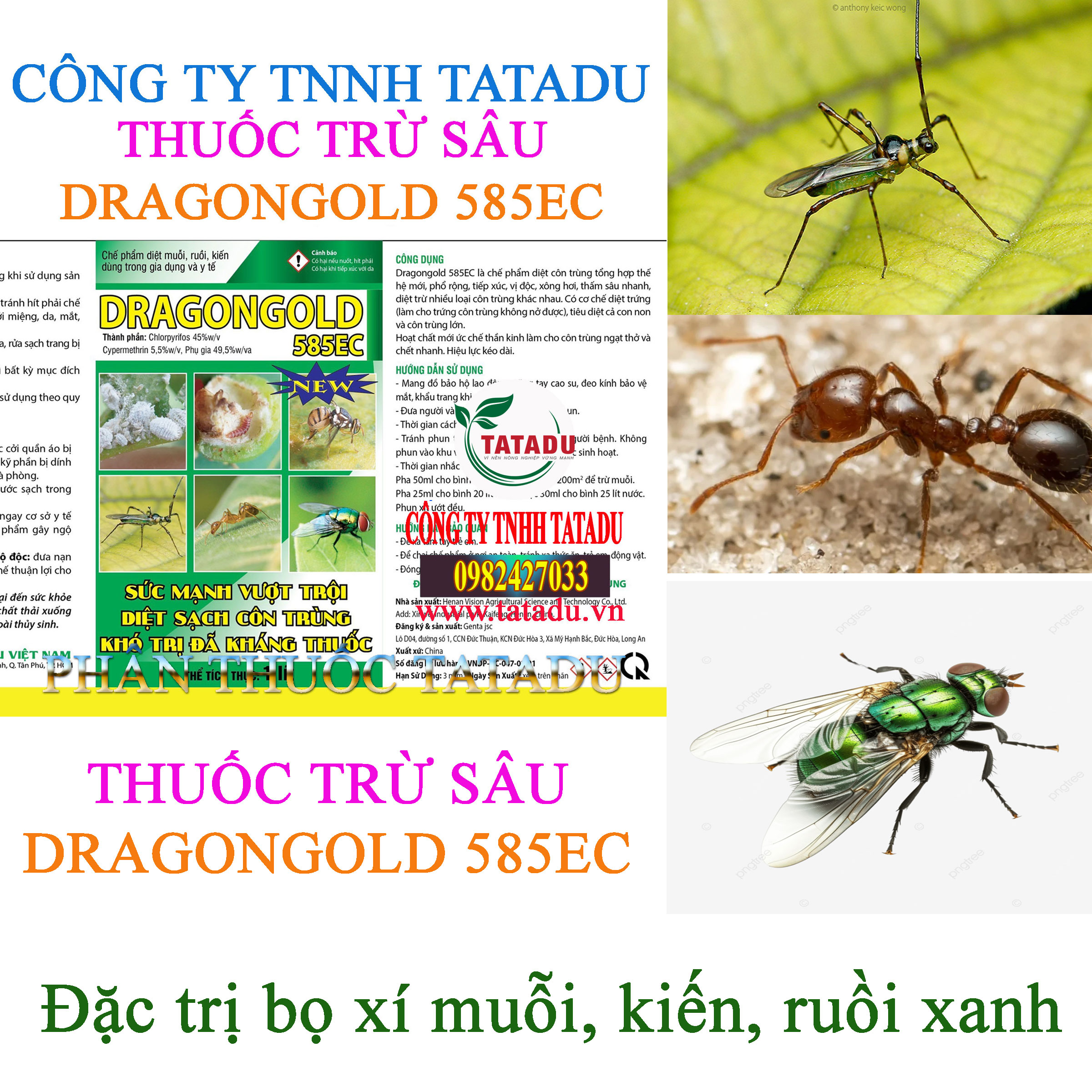 DRAGONGOLD 585EC tru bo xit muoi DRAGONGOLD 585EC tru bo xit muoi