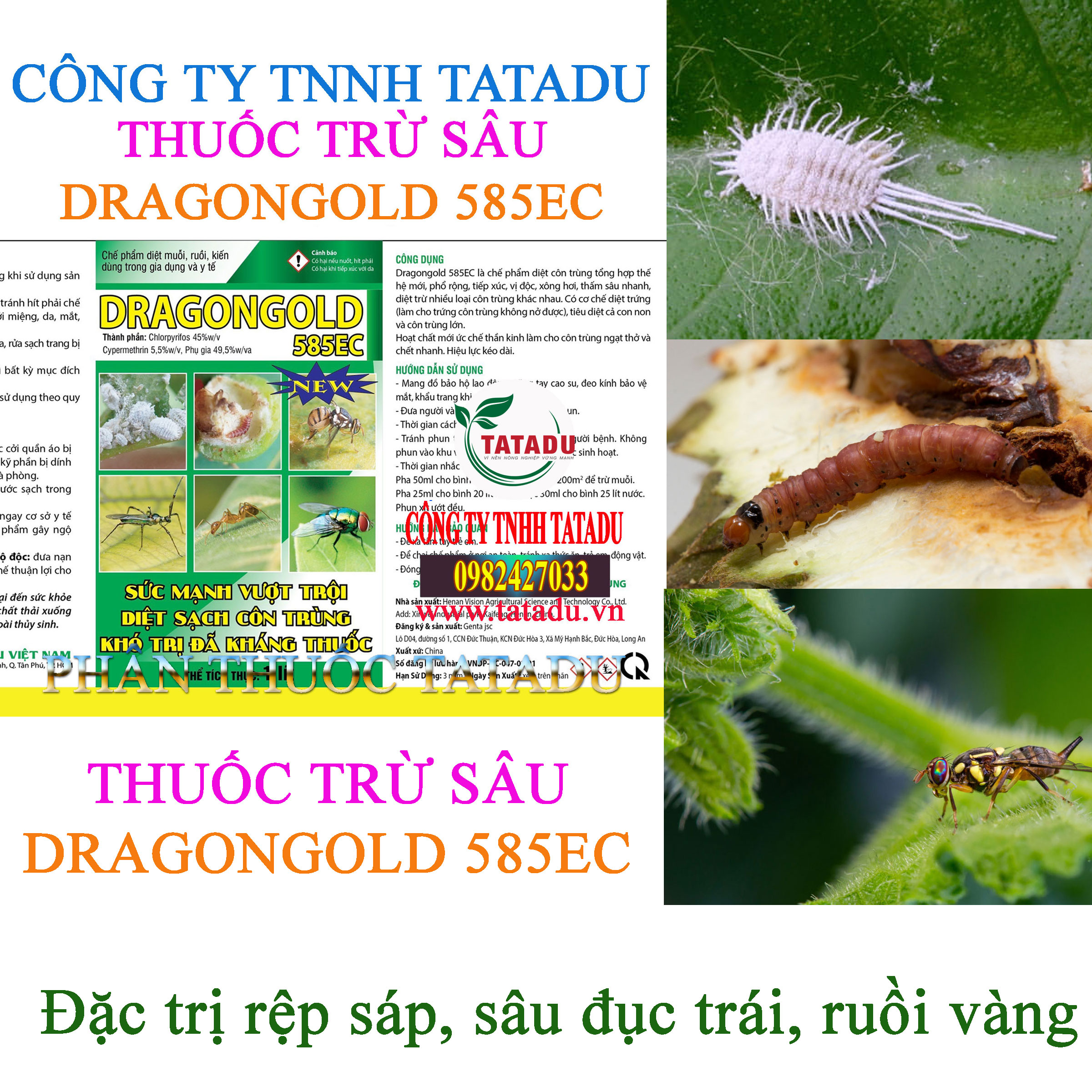 DRAGONGOLD 585EC tru rep sap DRAGONGOLD 585EC tru rep sap