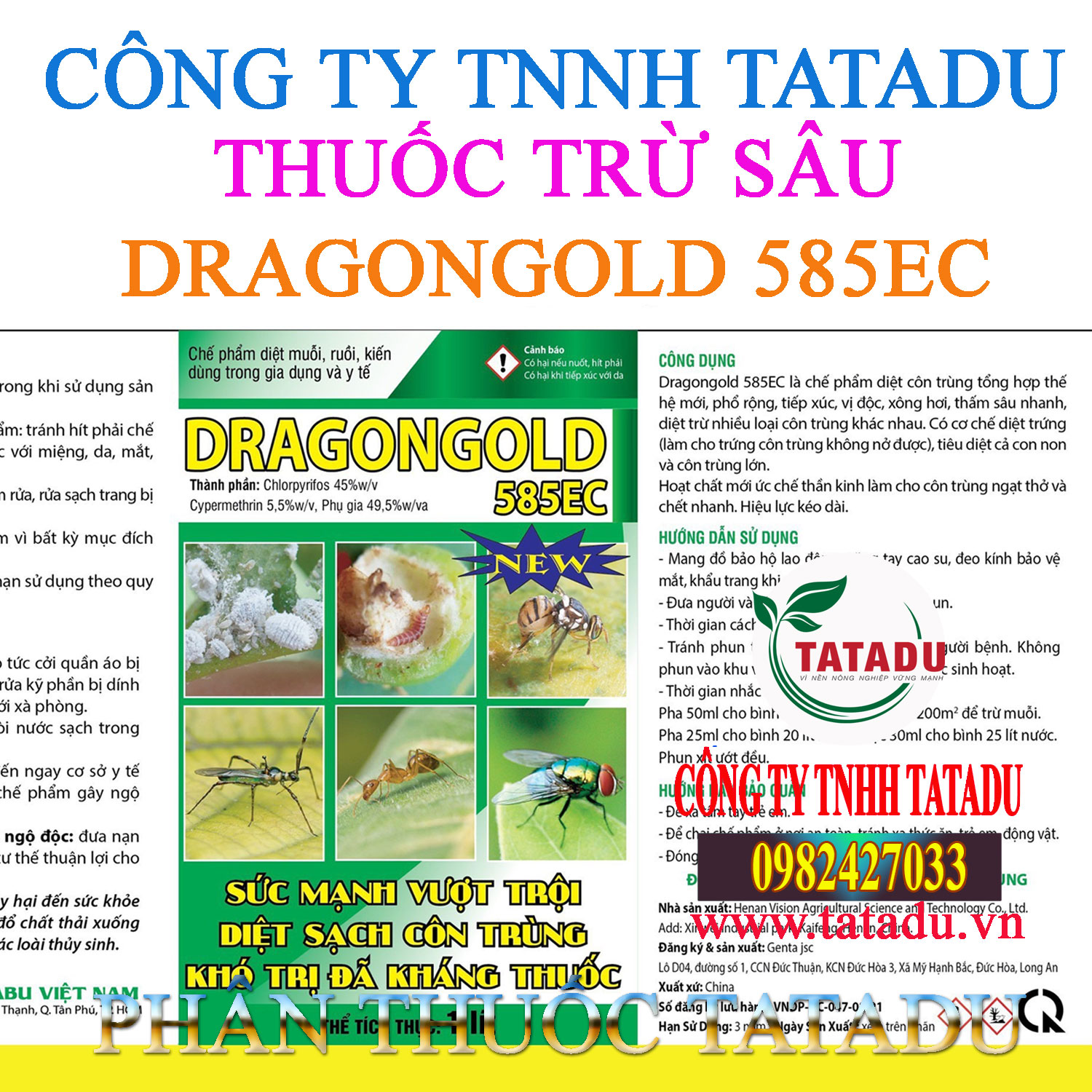 DRAGONGOLD 585EC DRAGONGOLD 585EC