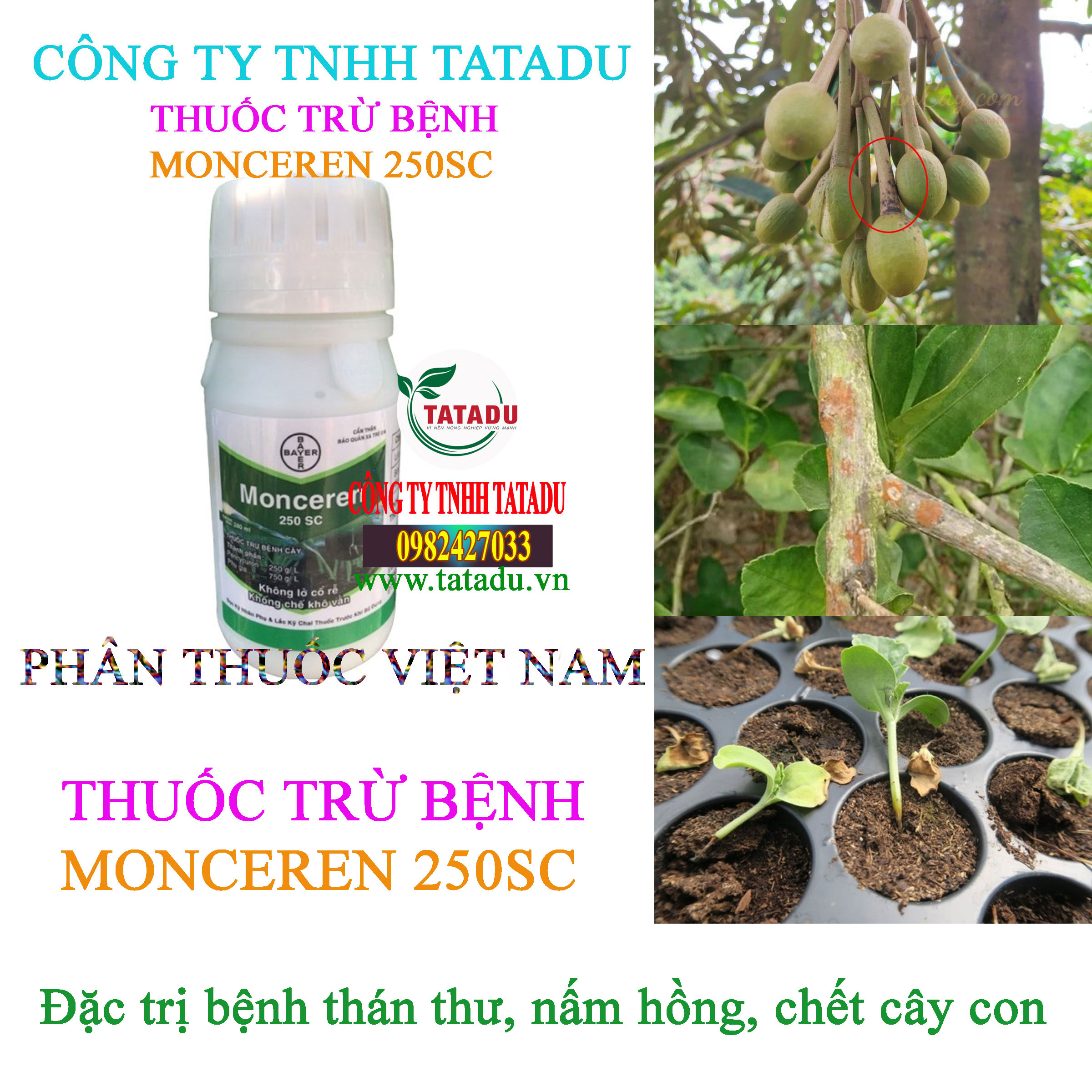 MONCEREN 250SC than thu MONCEREN 250SC than thu