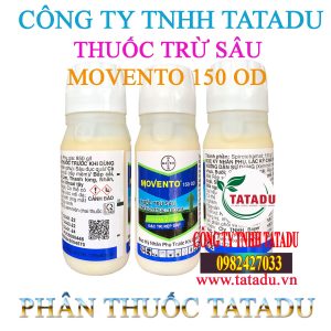 MOVENTO 150 OD