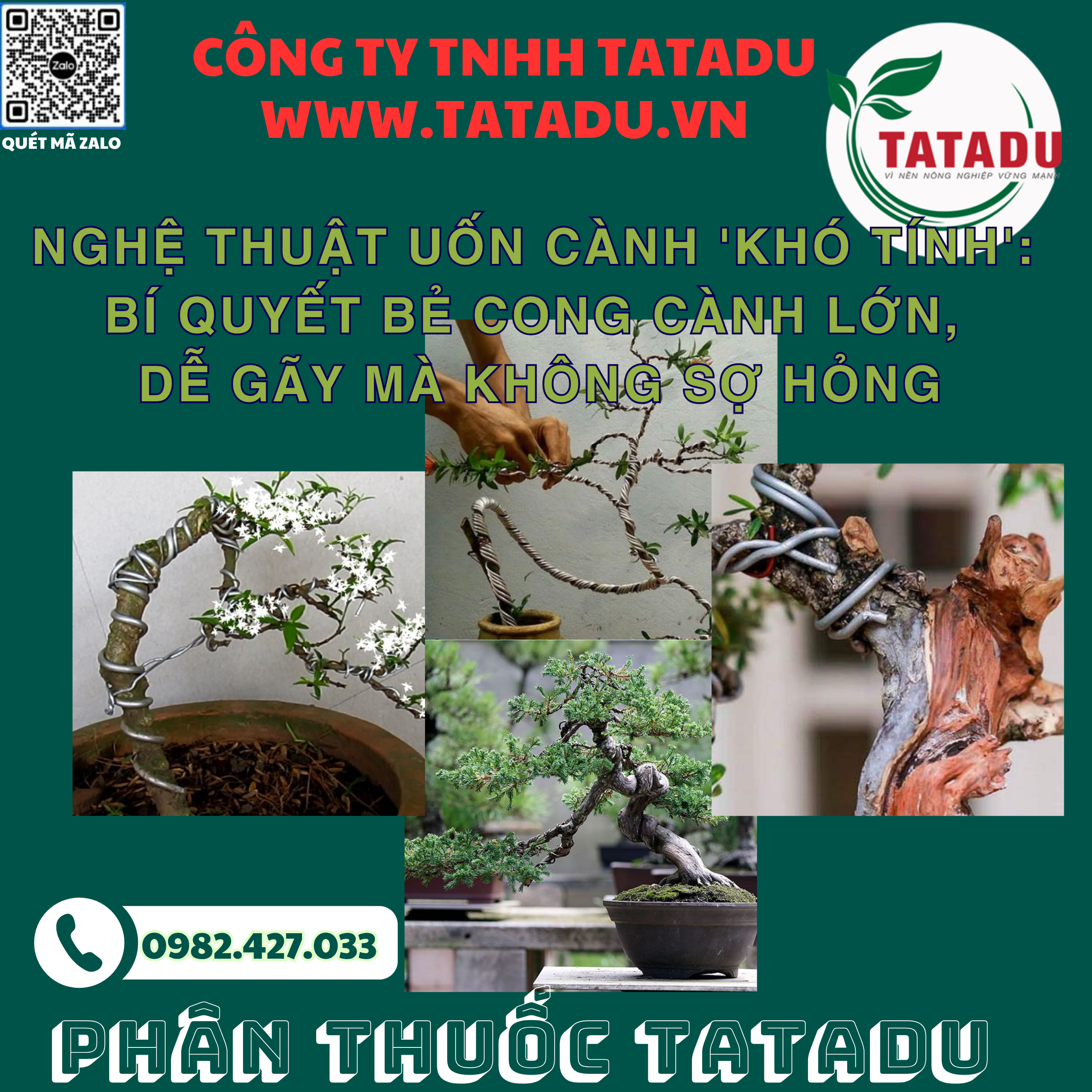 NGHE THUAT UON CANH KHO TINH BI QUYET BE CONG CANH LON DE GAY MA KHONG SO HONG