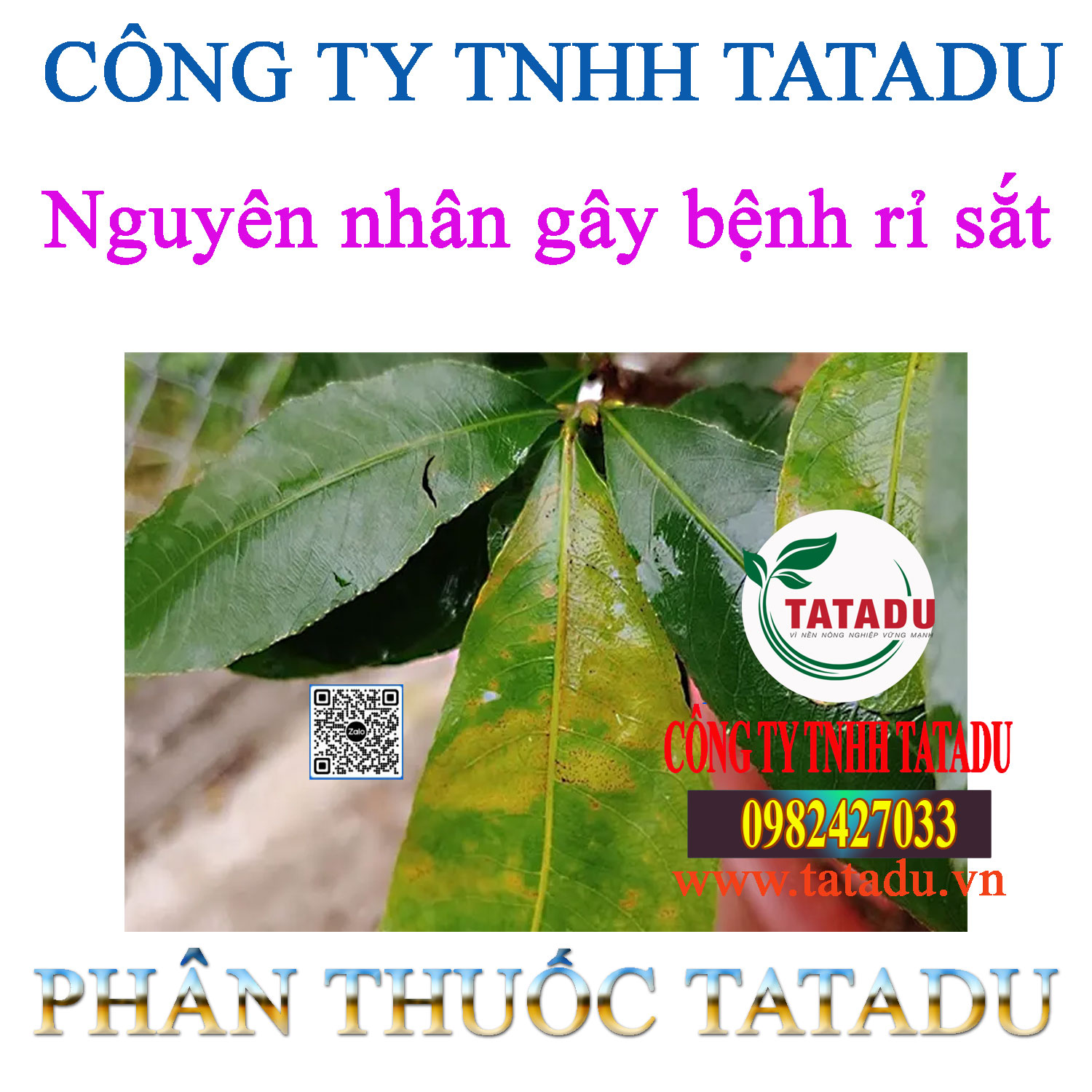 Nguyen nhan gay benh ri sat Nguyen nhan gay benh ri sat