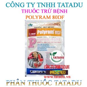 POLYRAM 80DF