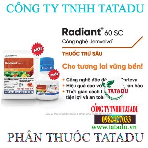 RADIANT GOI 60SC