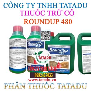 ROUNDUP 480