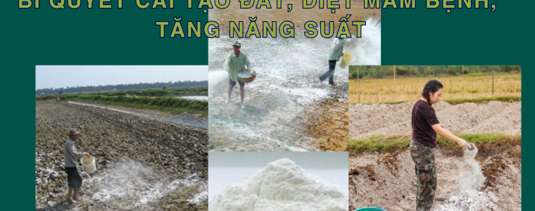 TAC DUNG CUA VOI TRONG NONG NGHIEP BI QUYET CAI TAO DAT DIET MAM BENH TANG NANG SUAT