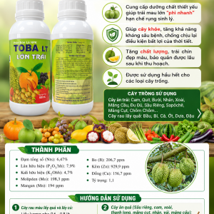 TOBA LON TRAI