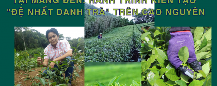 TRONG THU NGHIEM CHE O LONG TAI MANG DEN HANH TRINH KIEN TAO DE NHAT DANH TRA TREN CAO NGUYEN