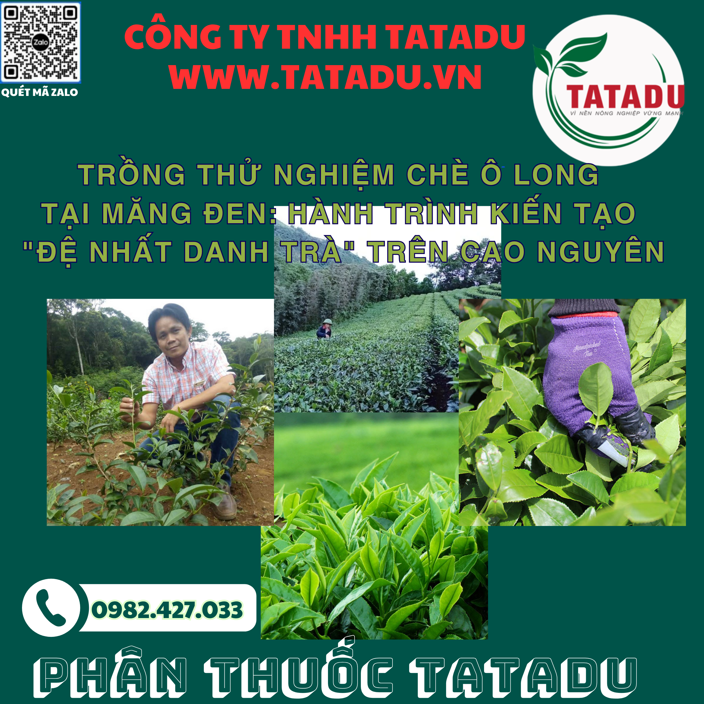 TRONG THU NGHIEM CHE O LONG TAI MANG DEN HANH TRINH KIEN TAO DE NHAT DANH TRA TREN CAO NGUYEN