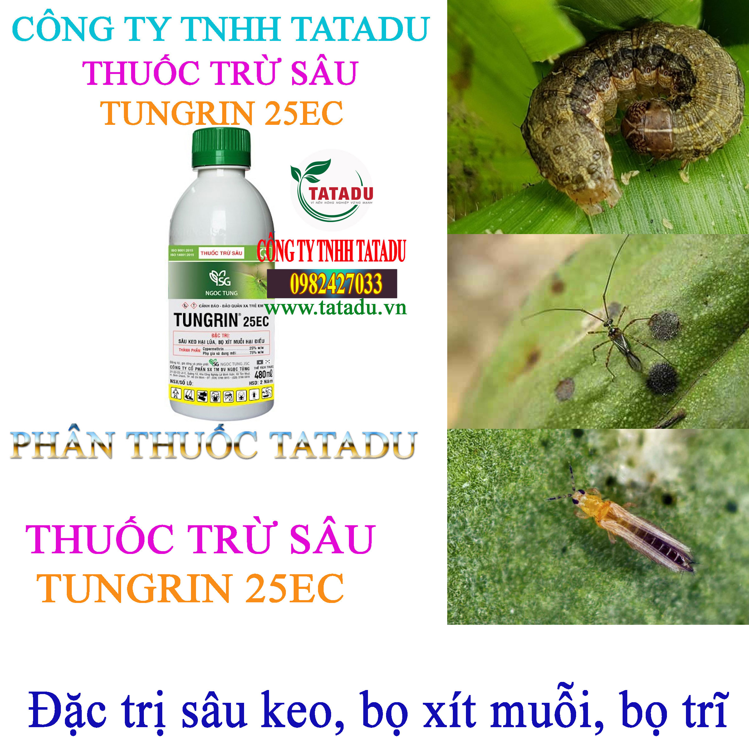 TUNGRIN 25EC tri sau keo TUNGRIN 25EC tri sau keo