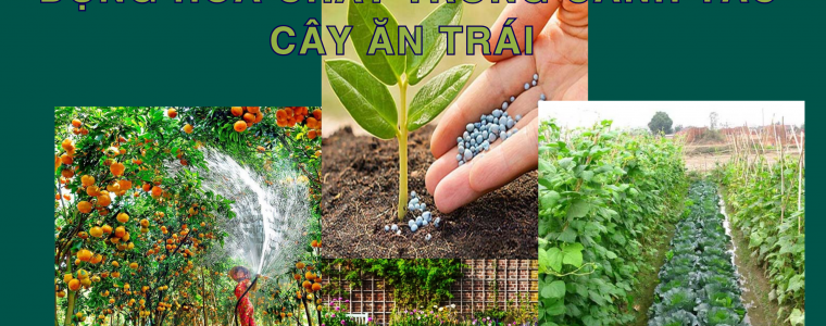 GIAI PHAP VANG HAN CHE LAM DUNG HOA CHAT TRONG CANH TAC CAY AN TRAI