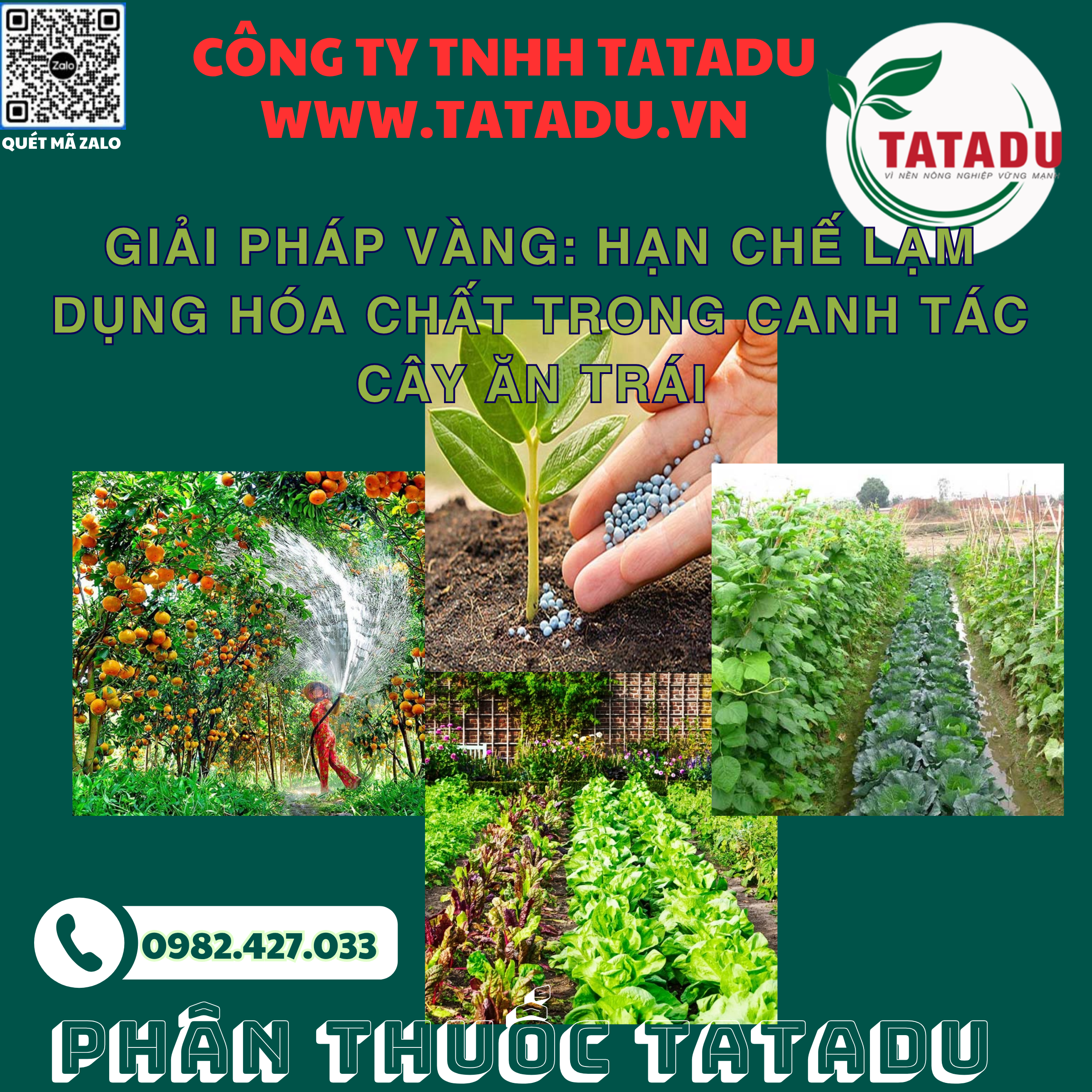 GIAI PHAP VANG HAN CHE LAM DUNG HOA CHAT TRONG CANH TAC CAY AN TRAI
