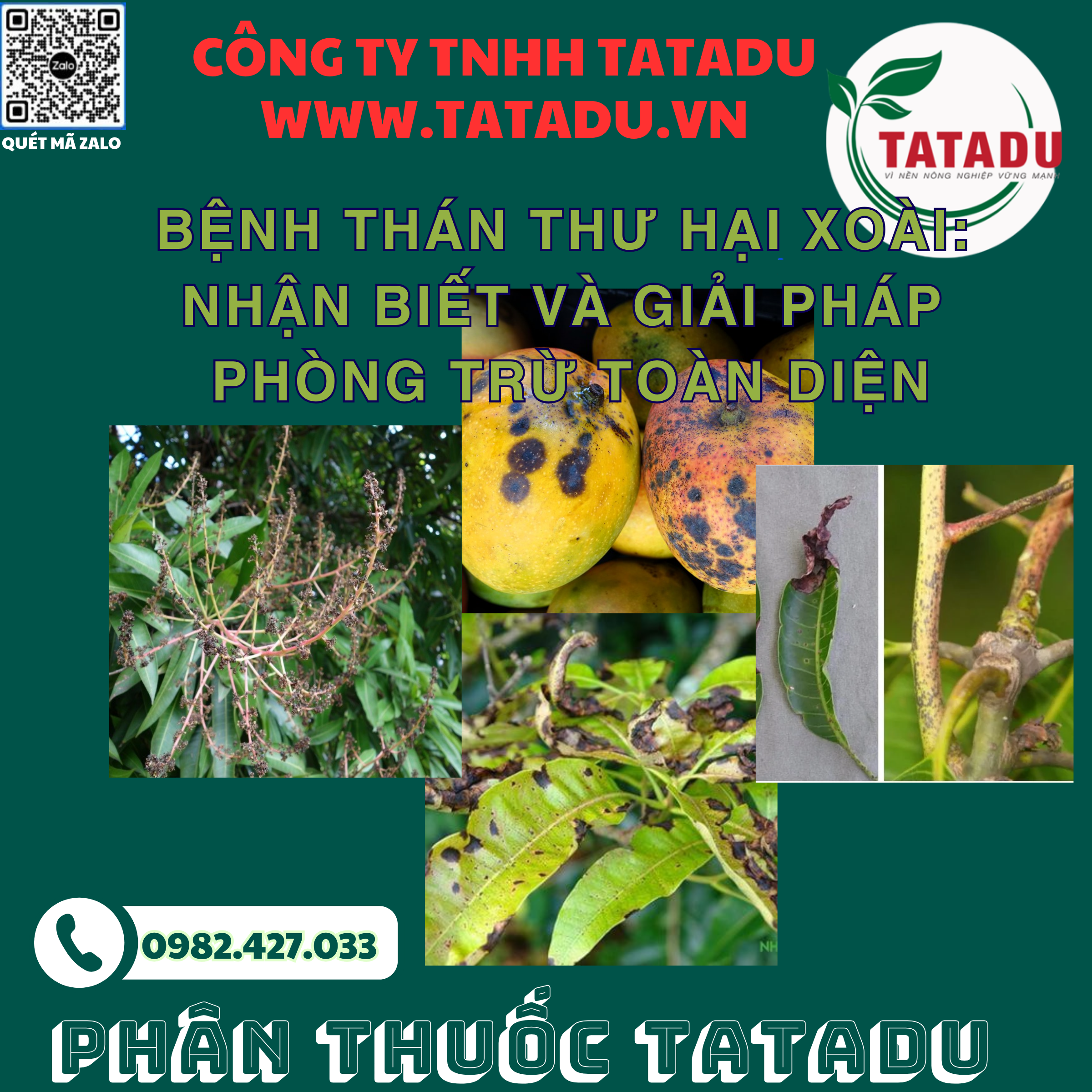 BENH THAN THU HAI XOAI NHAN BIET VA GIAI PHAP PHONG TRU TOAN DIEN