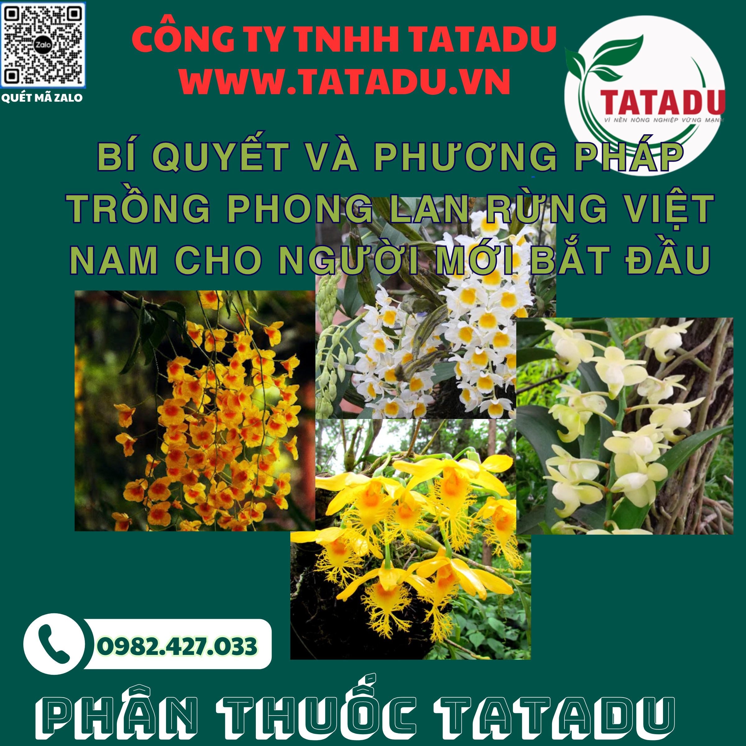 BI QUYET VA PHUONG PHAP TRONG PHONG LAN RUNG VIET NAM CHO NGUOI MOI BAT DAU