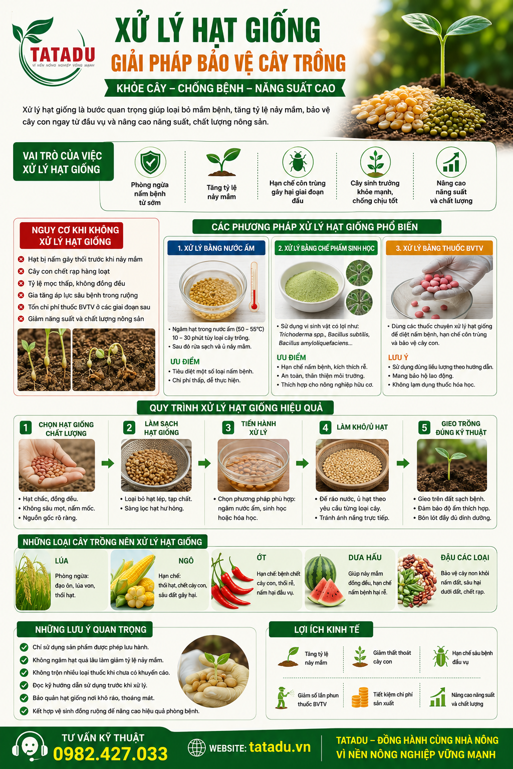 XỬ LÝ HẠT GIỐNG - GIẢI PHÁP BẢO VỆ CÂY TRỒNG