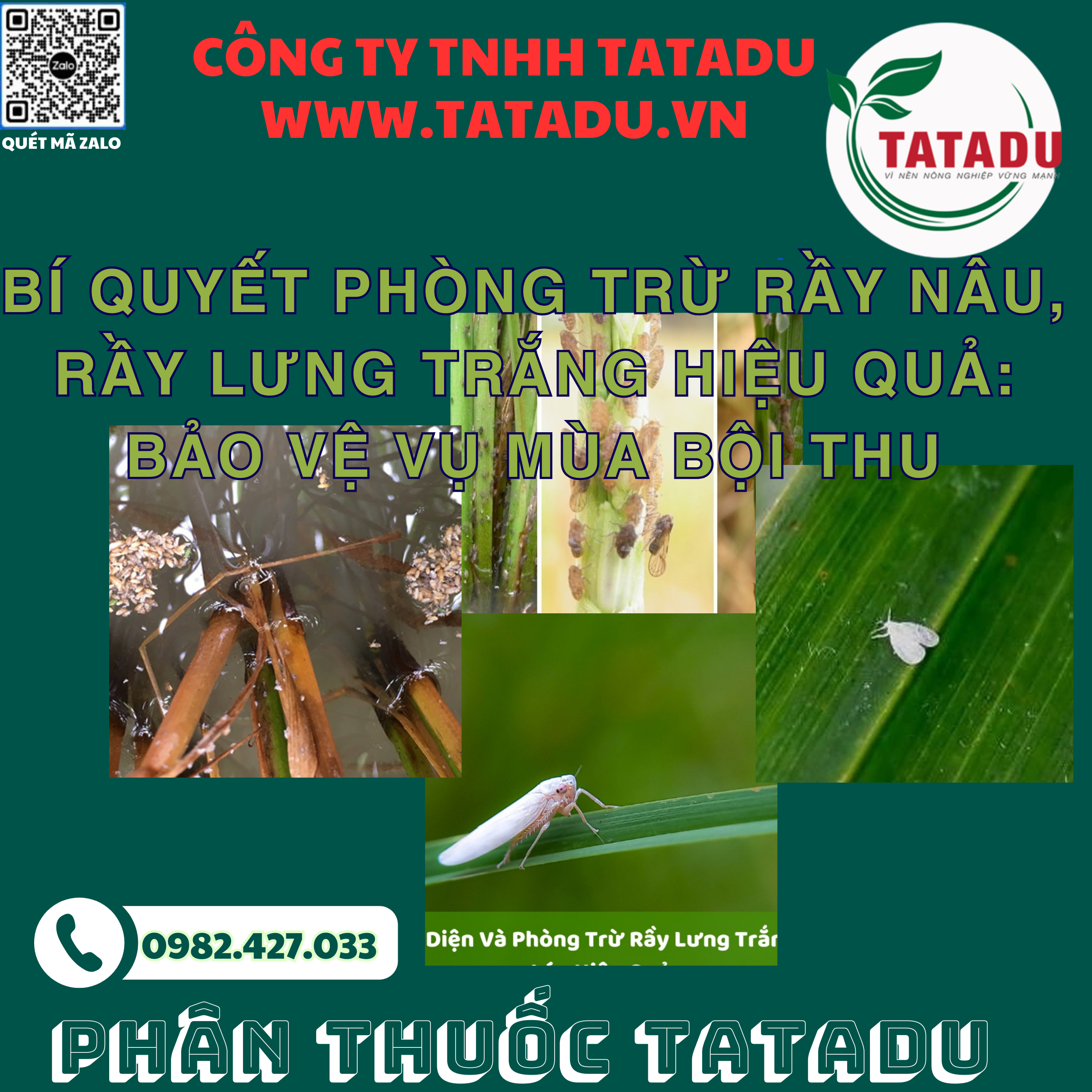 BI QUYET PHONG TRU RAY NAU RAY LUNG TRANG HIEU QUA BAO VE VU MUA BOI THU