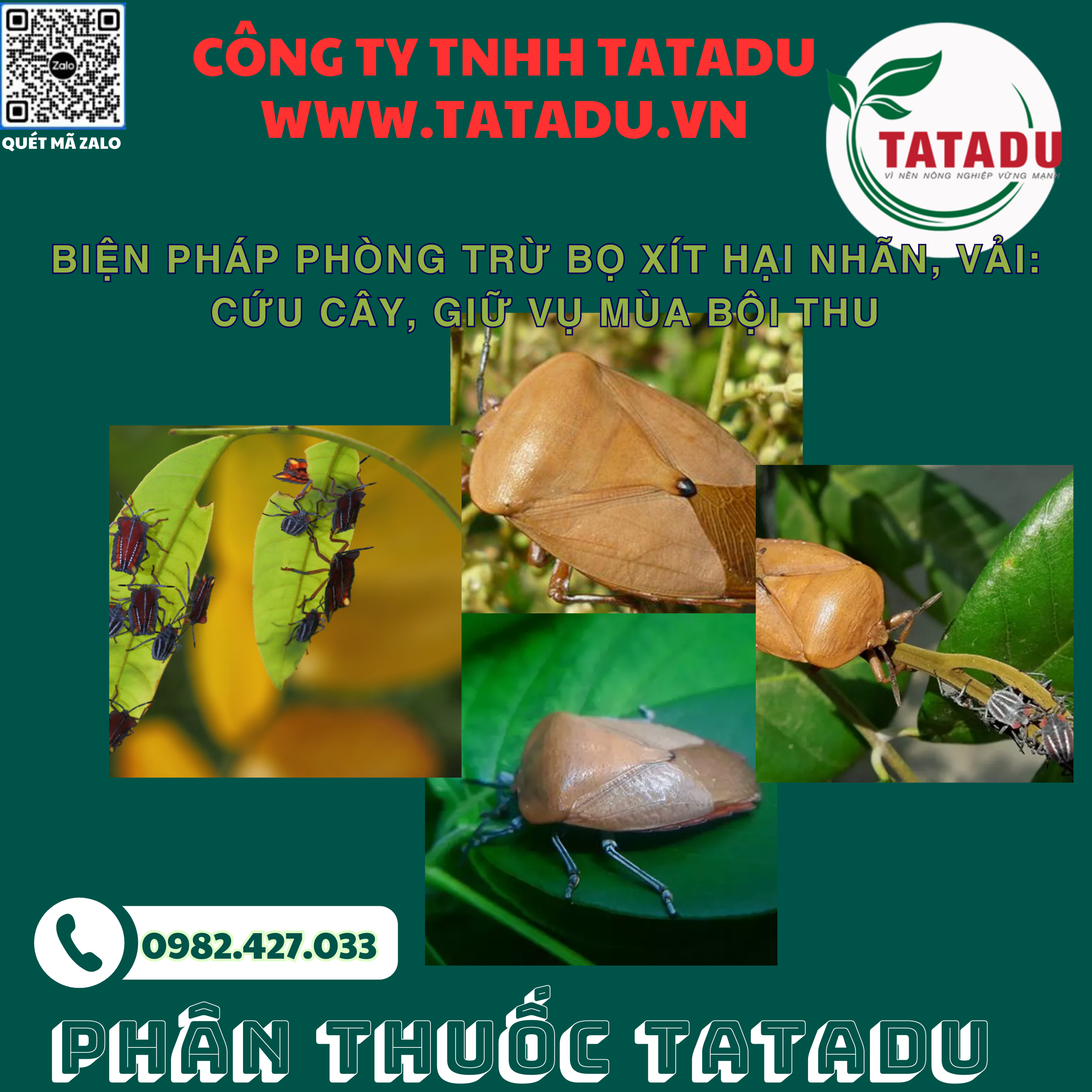 BIEN PHAP PHONG TRU BO XIT HAI NHAN VAI CUU CAY GIU VU MUA BOI THU