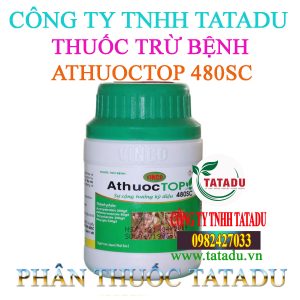 ATHUOCTOP 480SC