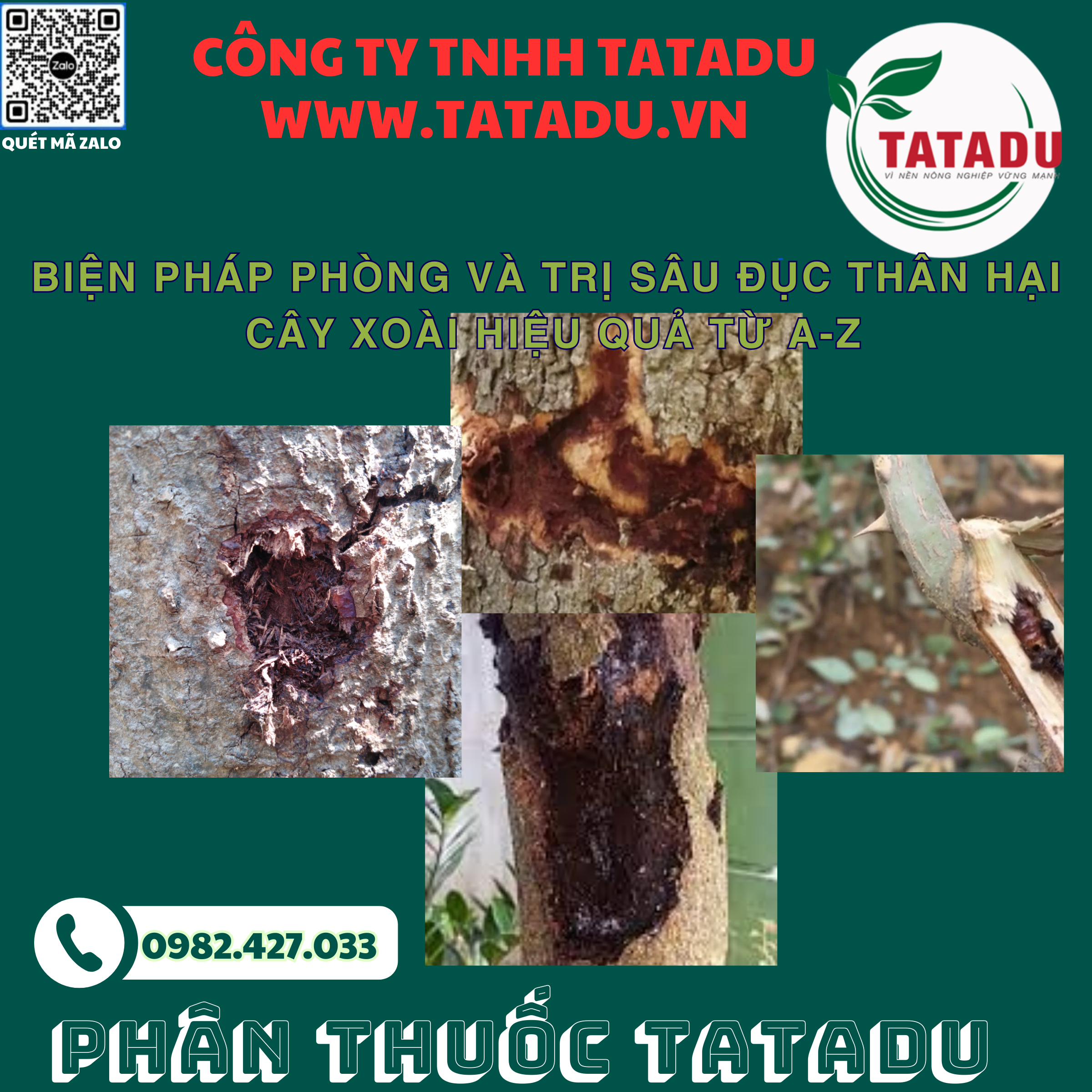 BIEN PHAP PHONG VA TRI SAU DUC THAN HAI CAY XOAI HIEU QUA TU A Z BIEN PHAP PHONG VA TRI SAU DUC THAN HAI CAY XOAI HIEU QUA TU A Z