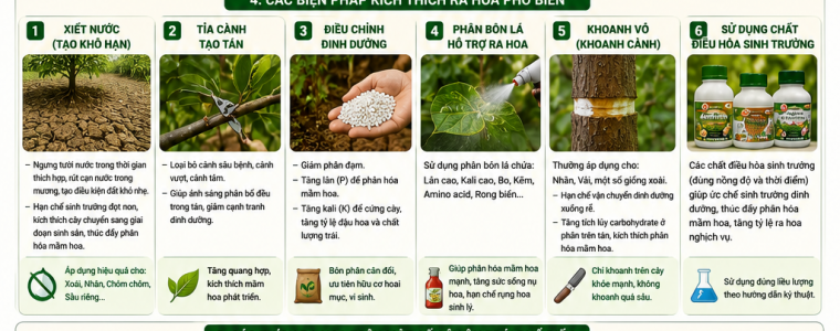 CÁC BIỆN PHÁP KÍCH THÍCH RA HOA