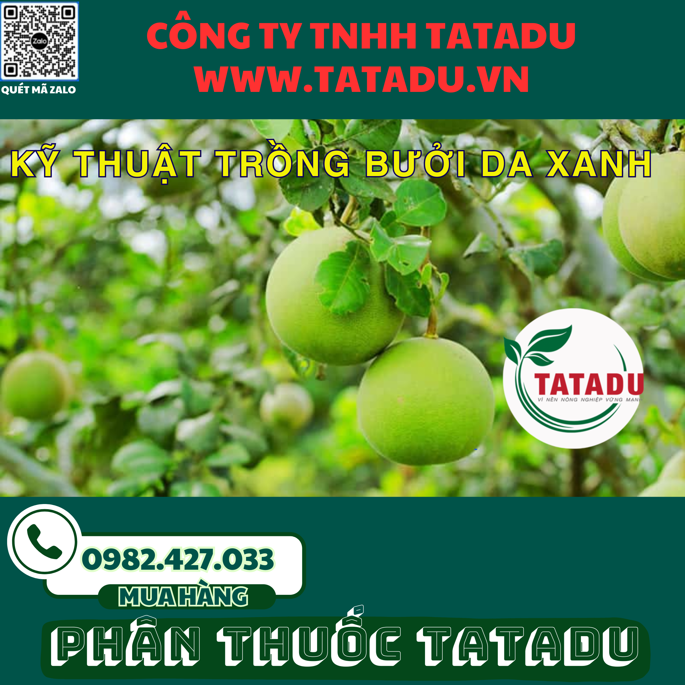KY THUAT TRONG BUOI DA XANH