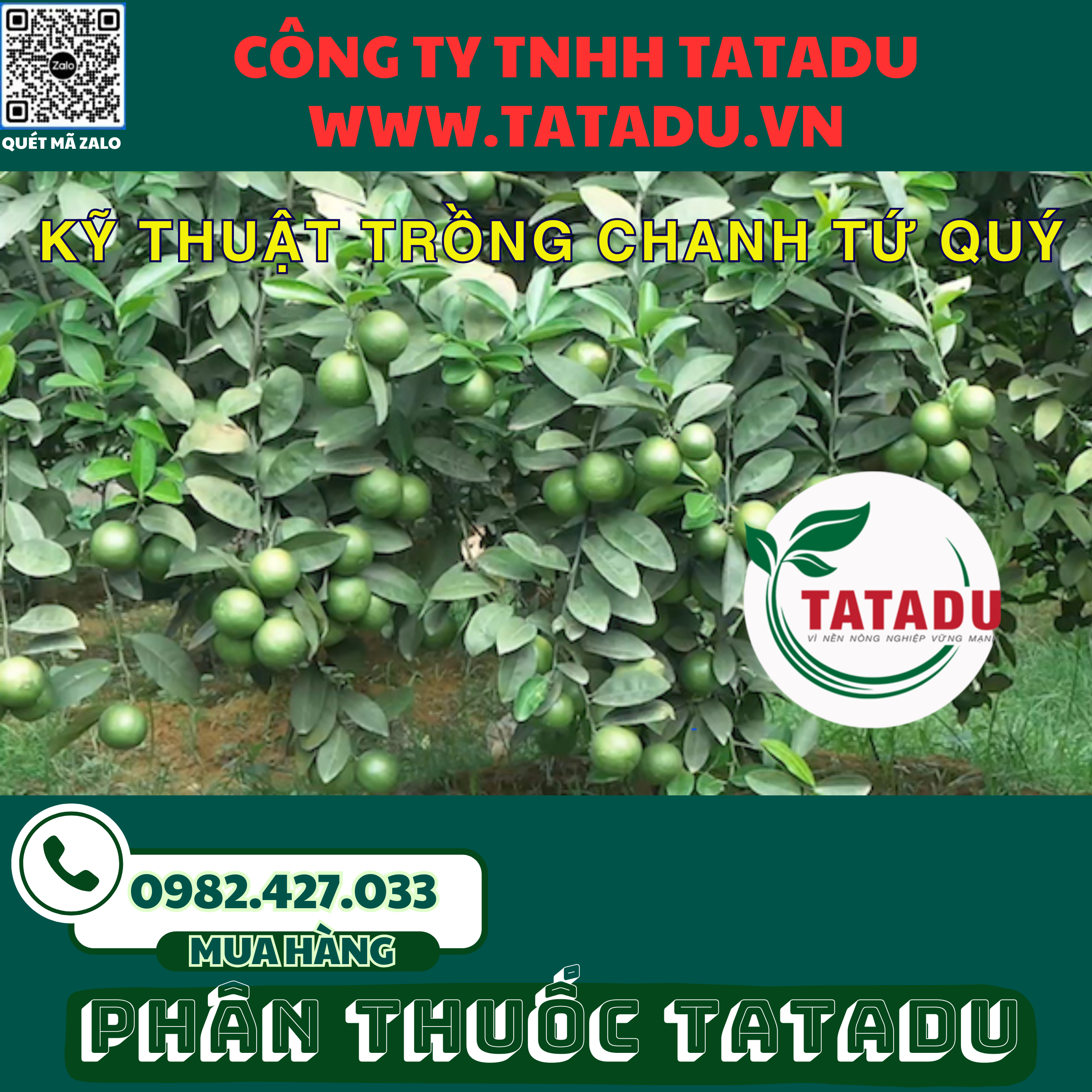 KY THUAT TRONG CHANH TU QUY
