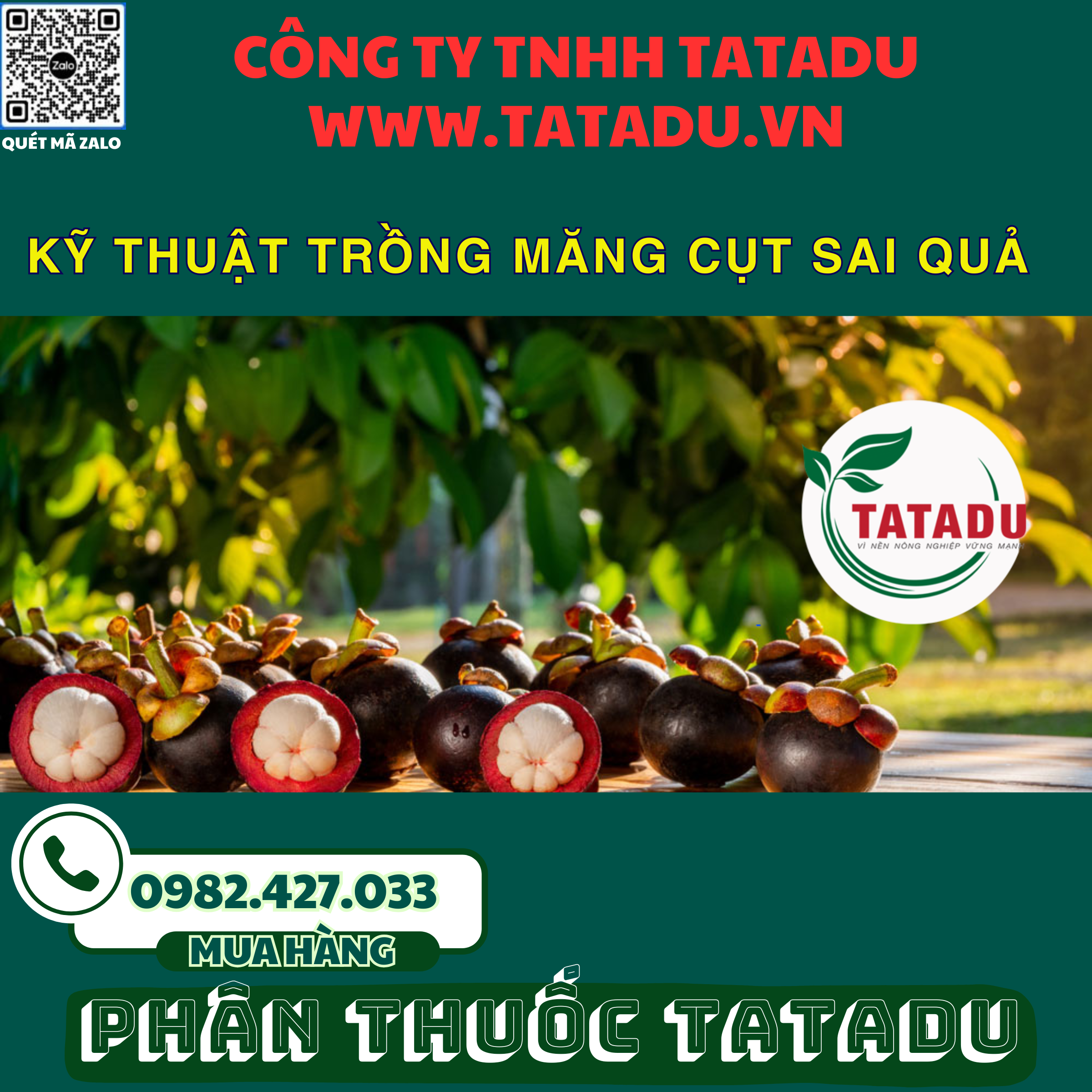 KY THUAT TRONG MANG CUT SAI QUA