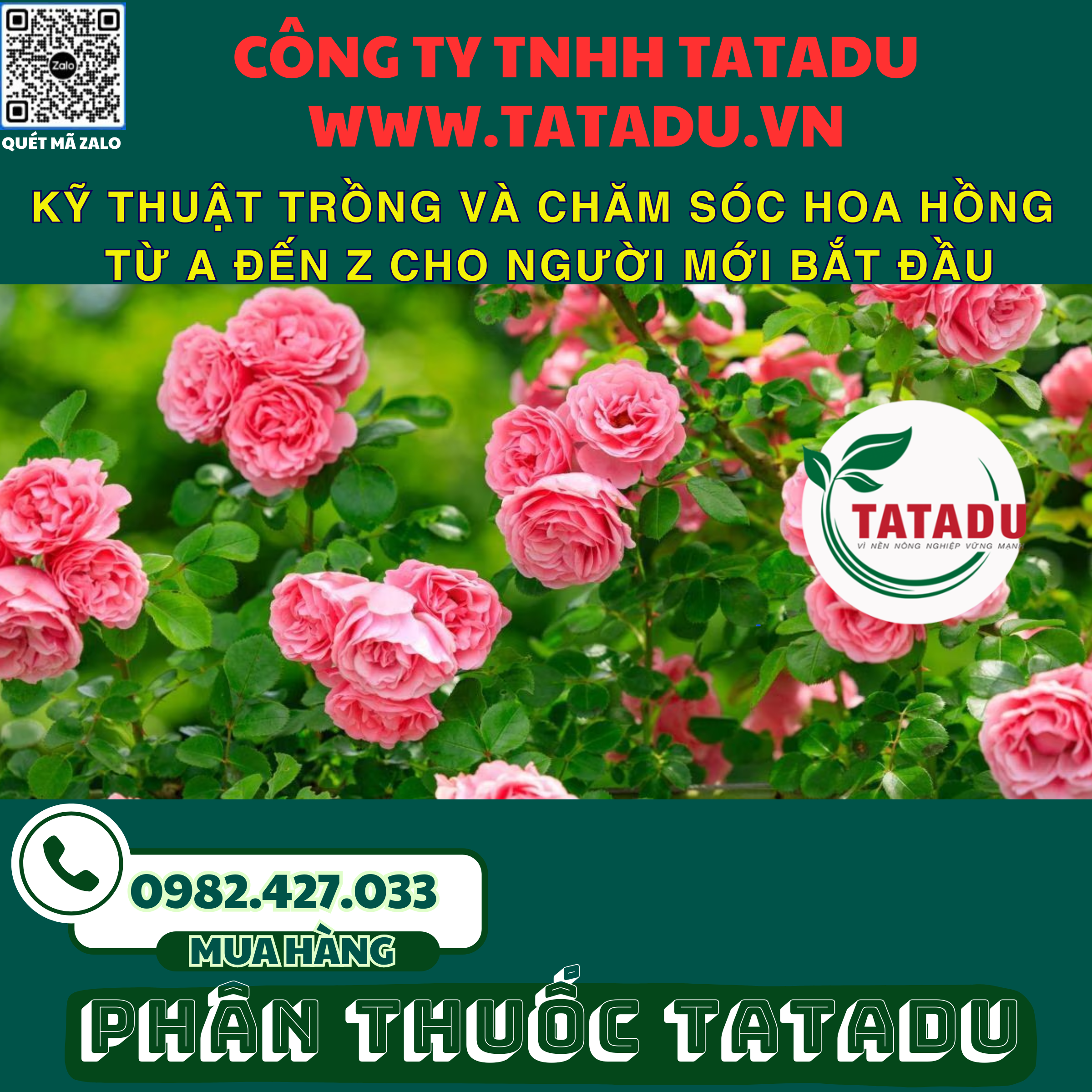 KY THUAT TRONG VA CHAM SOC HOA HONG TU A DEN Z CHO NGUOI MOI BAT DAU