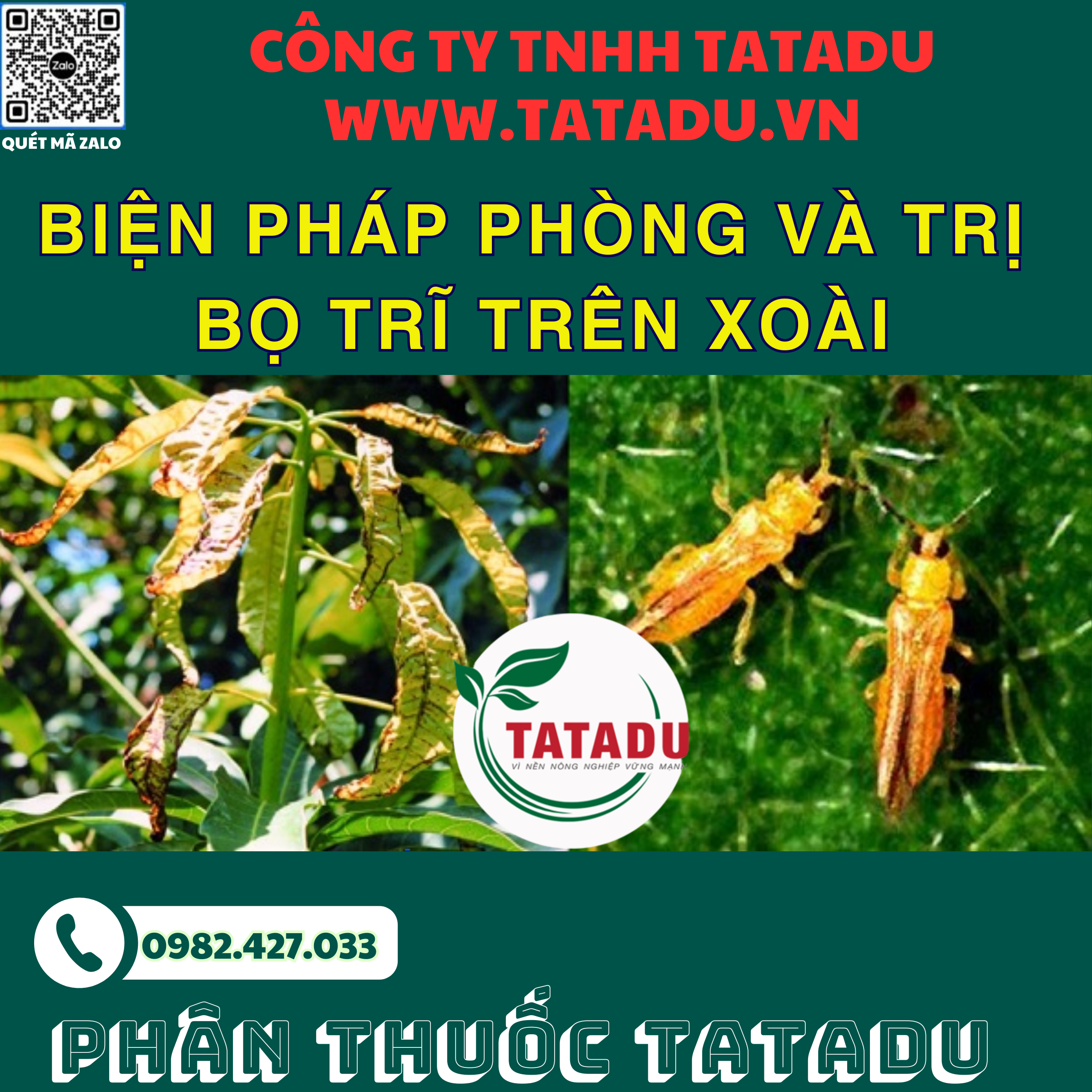 BIEN PHAP PHONG VA TRI BO TRI TREN XOAI 1