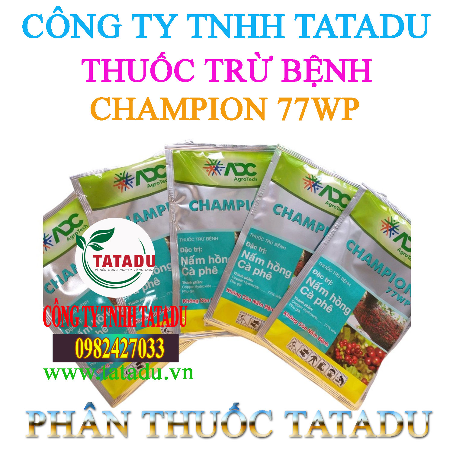 CHAMPION 77WP CHAMPION 77WP