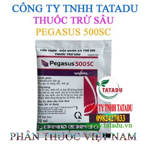PEGASUS 500SC