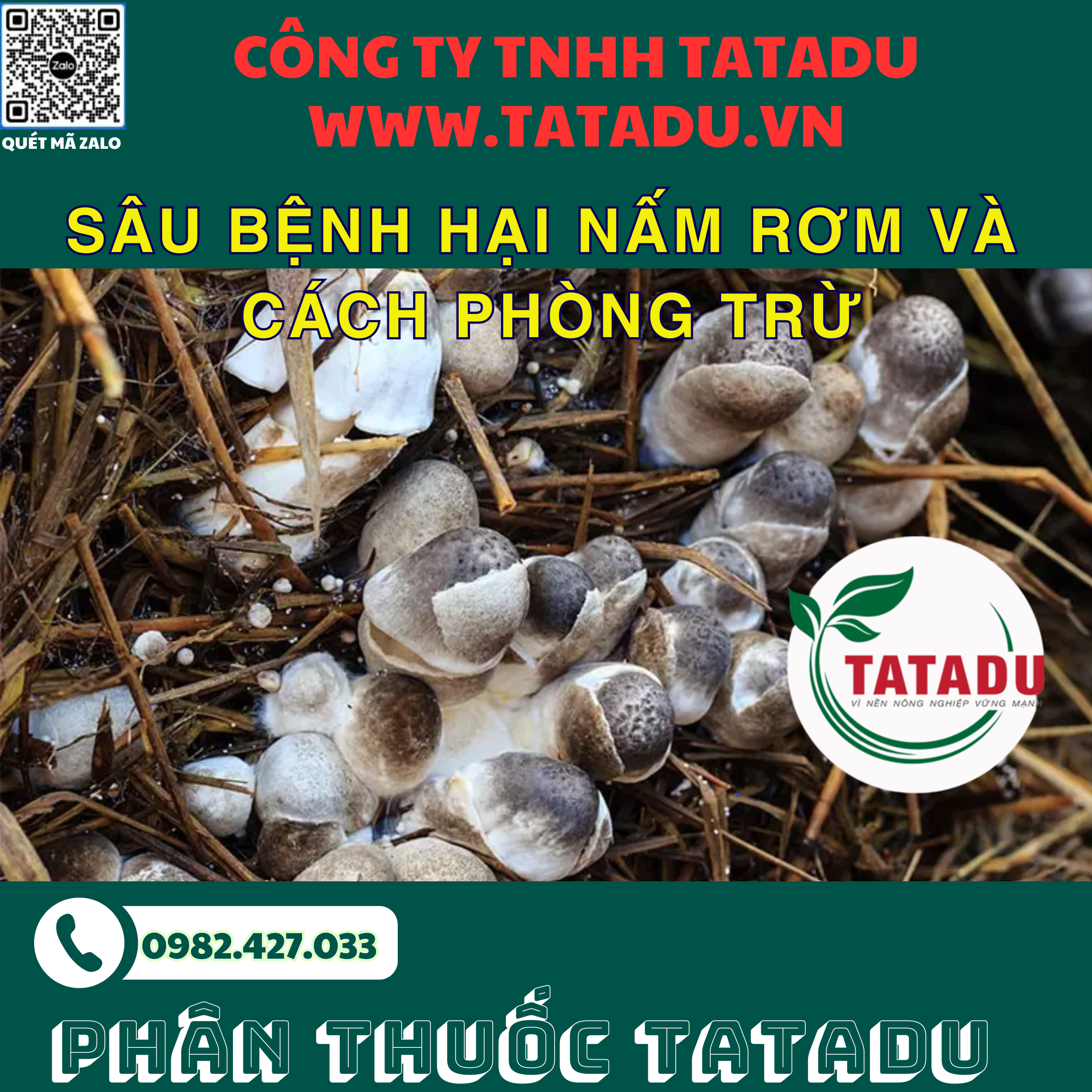 SAU BENH HAI NAM ROM VA CACH PHONG TRU