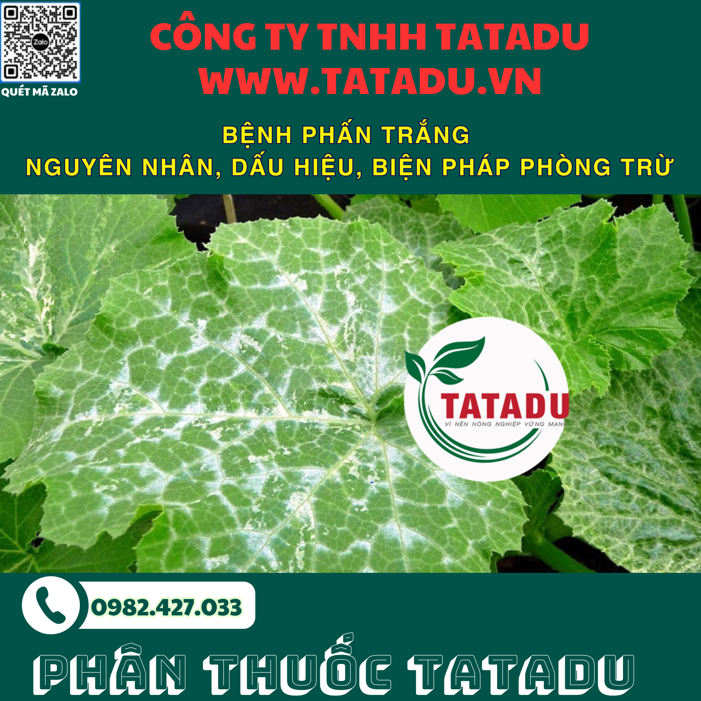 BENH PHAN TRANG NGUYEN NHAN DAU HIEU BIEN PHAP PHONG TRU