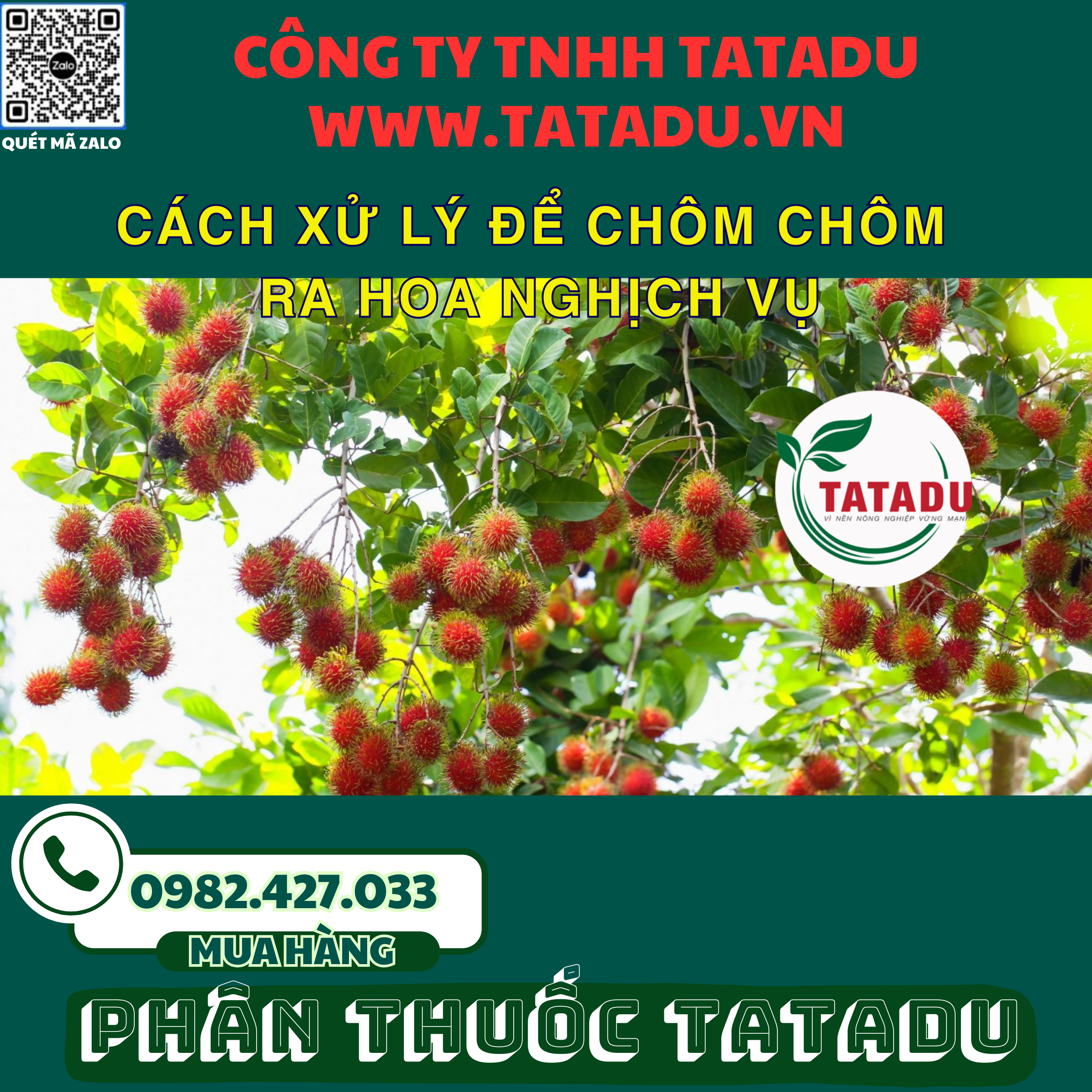 CACH XU LY DE CHOM CHOM RA HOA NGHICH VU