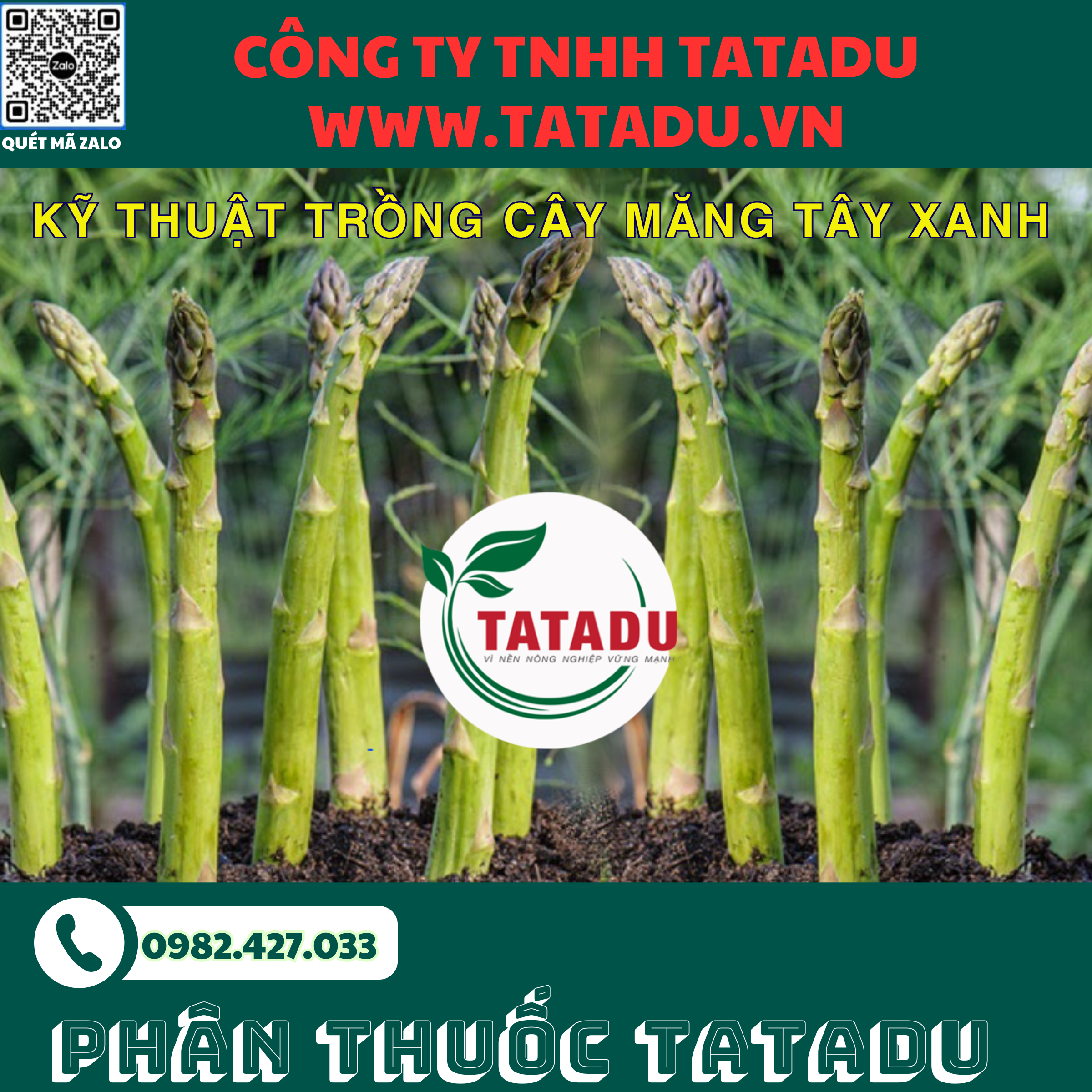 KY THUAT TRONG CAY MANG TAY XANH