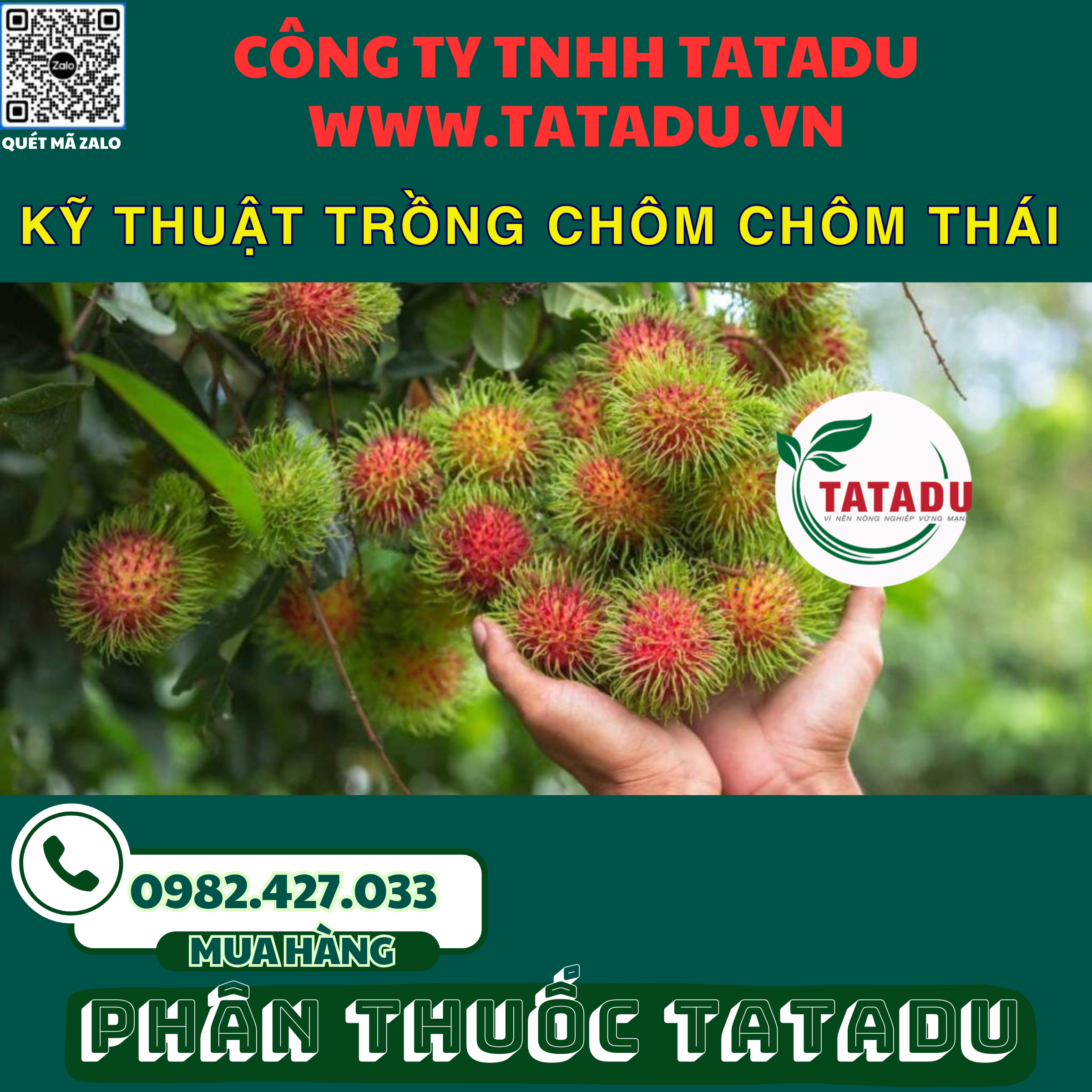 KY THUAT TRONG CHOM CHOM THAI