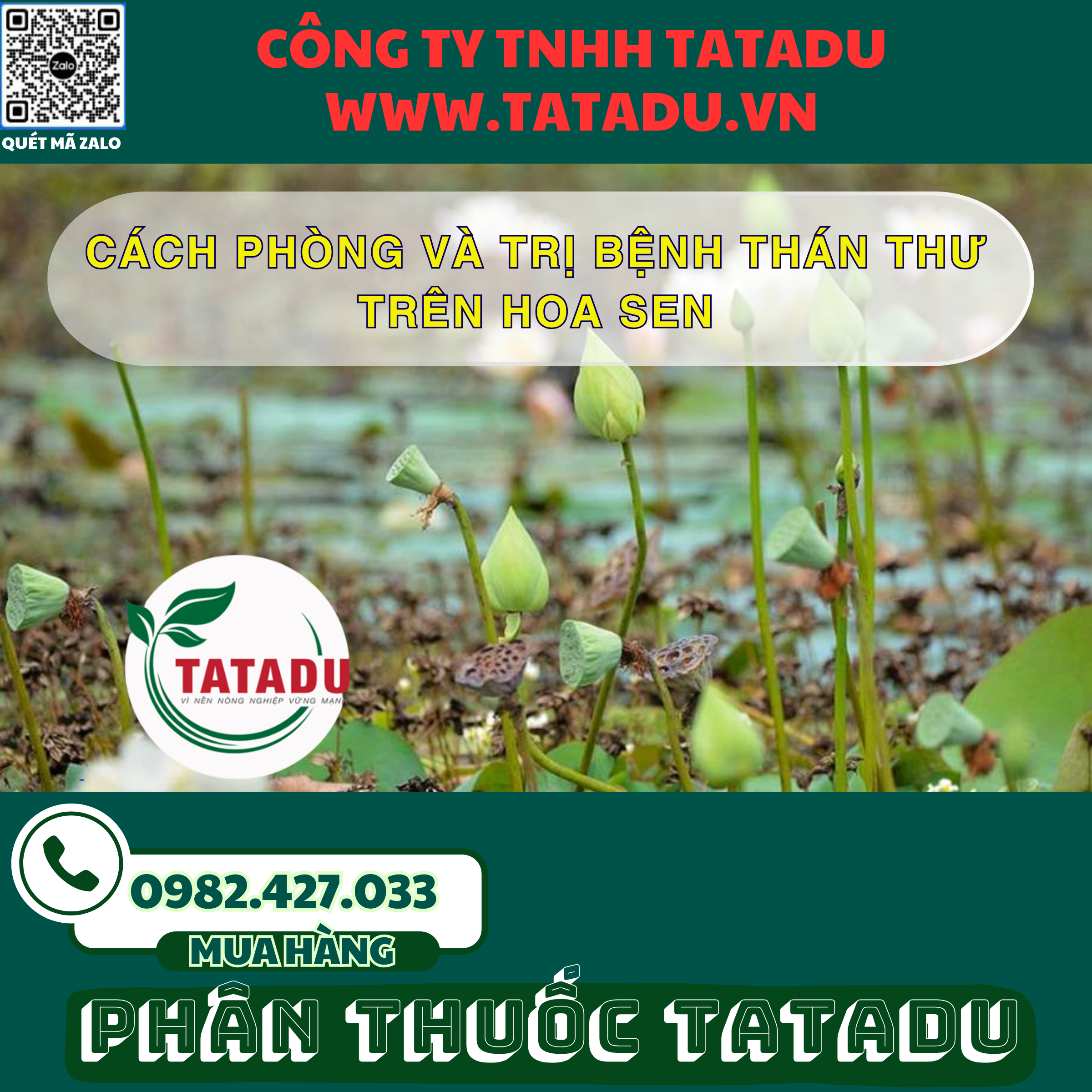 CACH PHONG VA TRI BENH THAN THU TREN HOA SEN 1