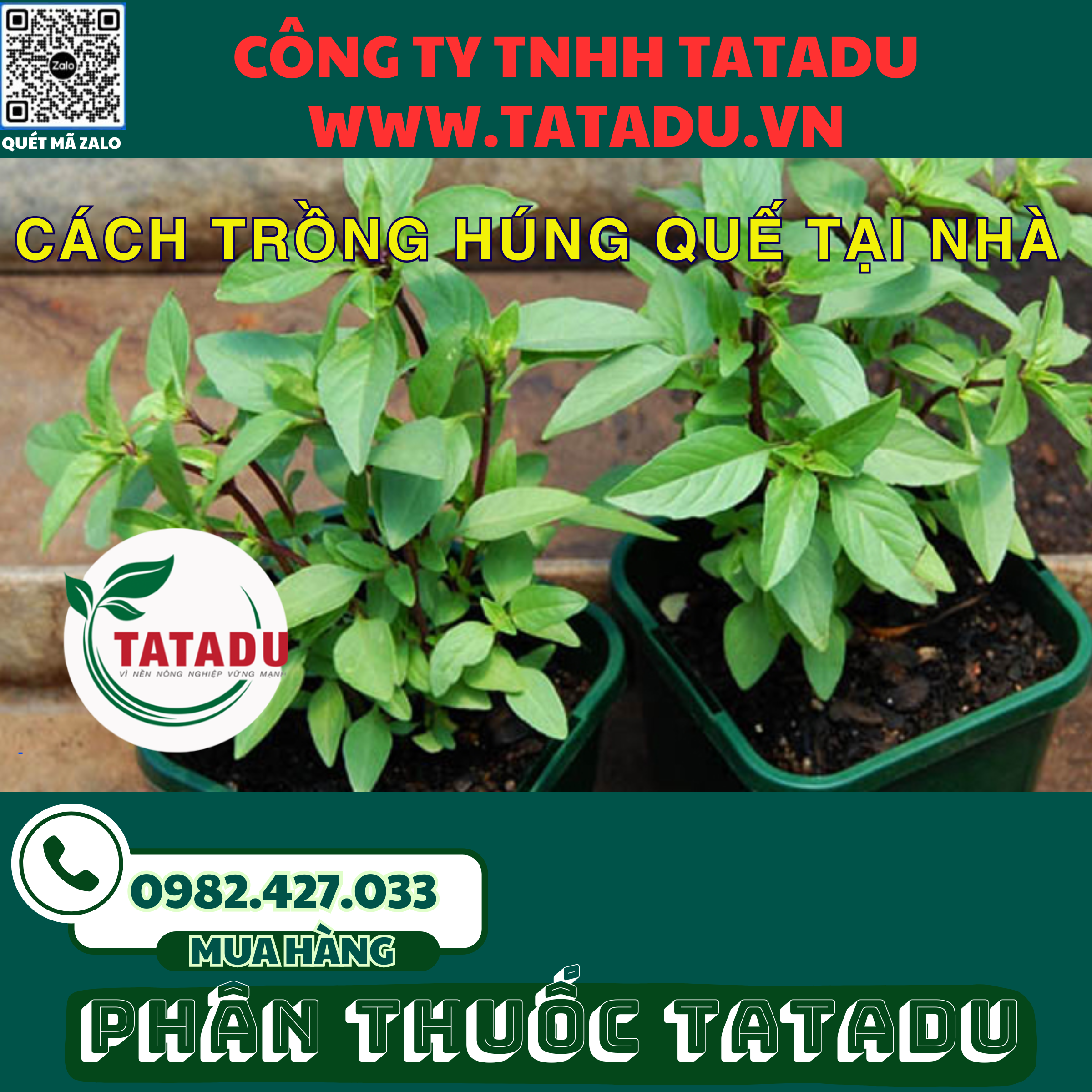 CACH TRONG HUNG QUE TAI NHA 1