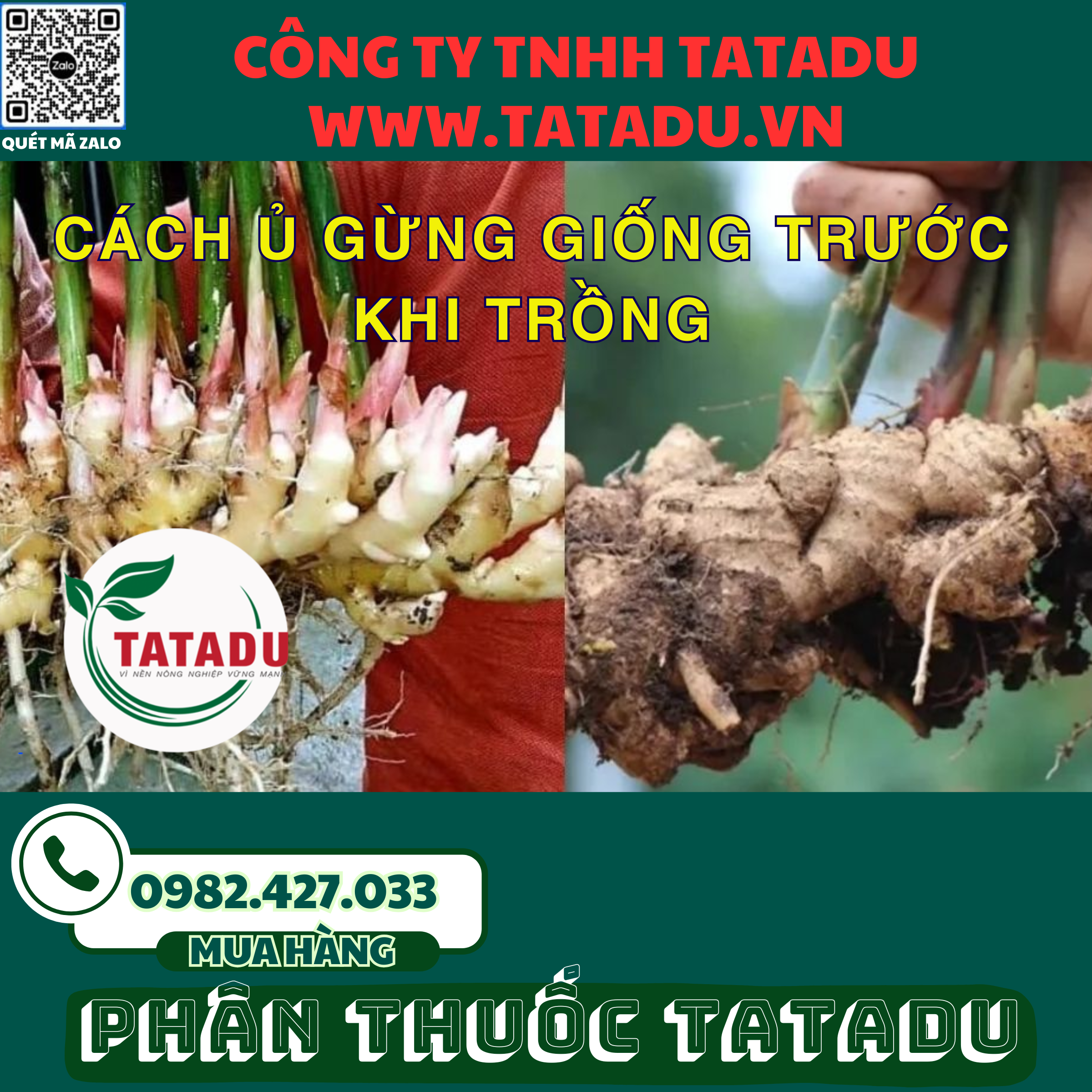 CACH U GUNG GIONG TRUOC KHI TRONG 1