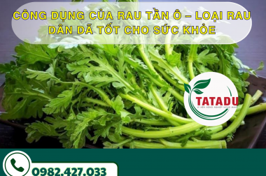 CÔNG DỤNG CỦA RAU TẦN Ô – LOẠI RAU DÂN DÃ TỐT CHO SỨC KHỎE