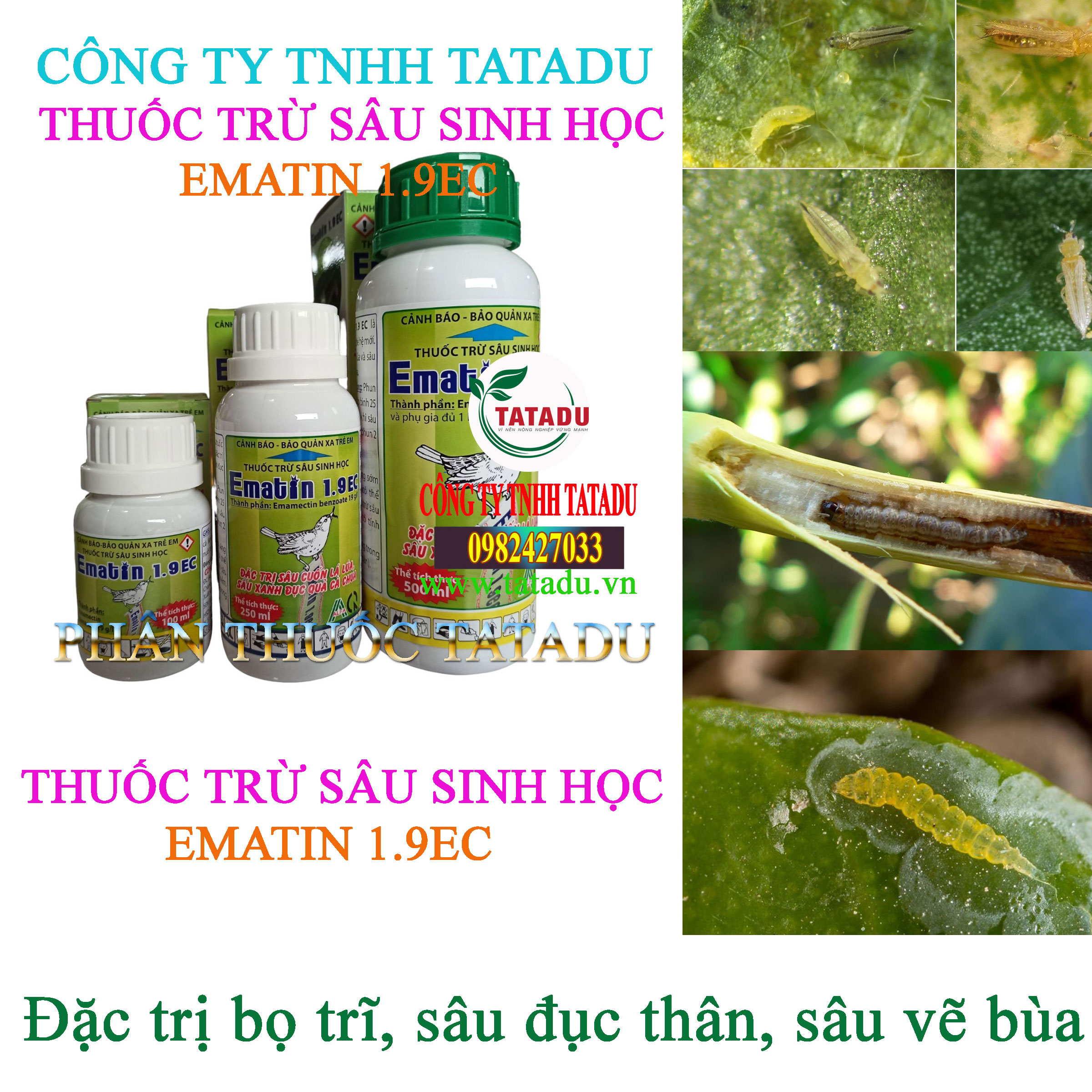 EMATIN 1.9EC bo tri EMATIN 1.9EC bo tri
