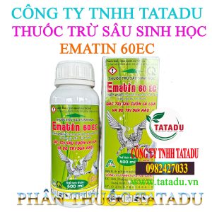 EMATIN 60EC
